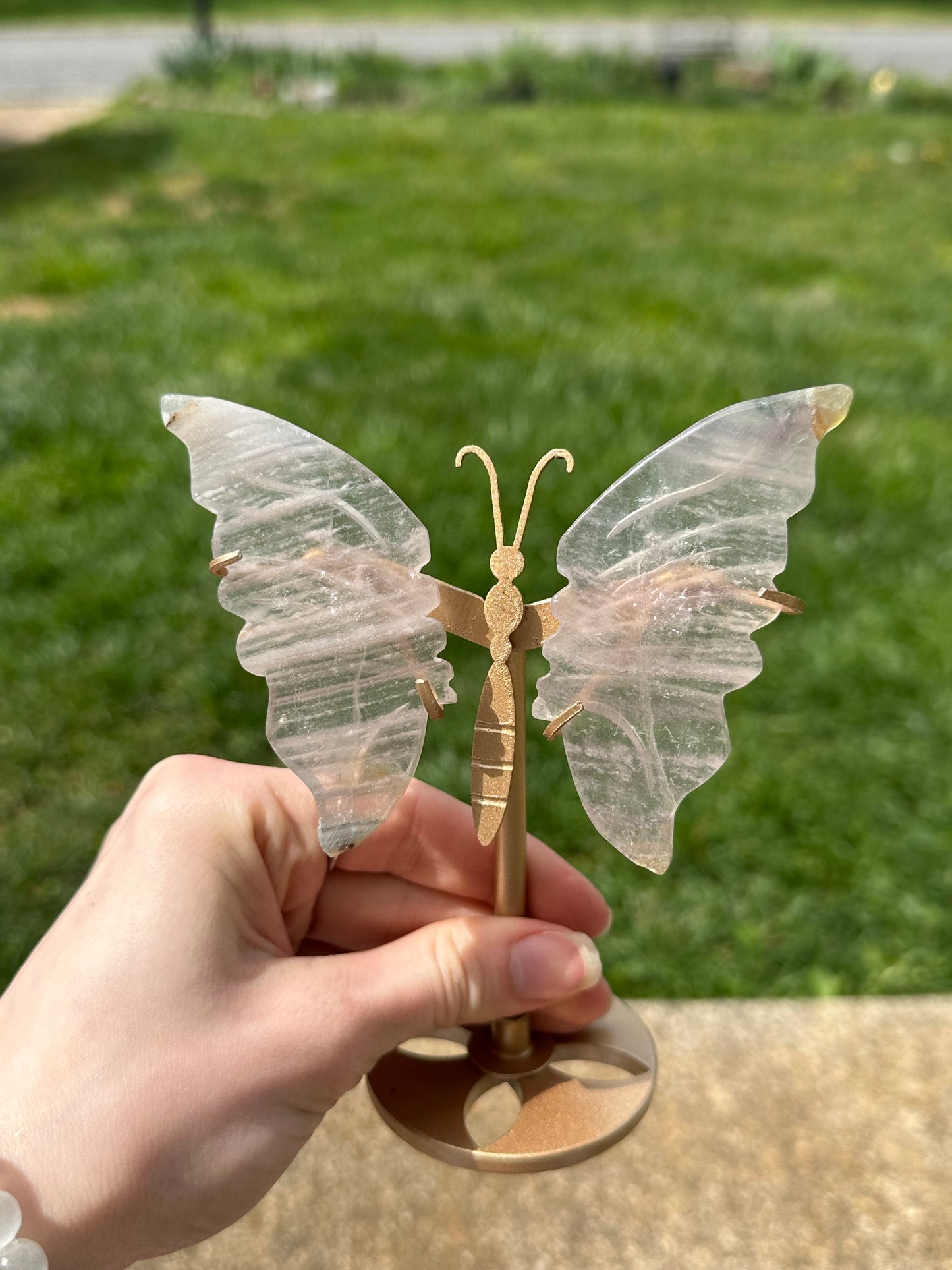 Fluorite Butterfly w/ Stand #14