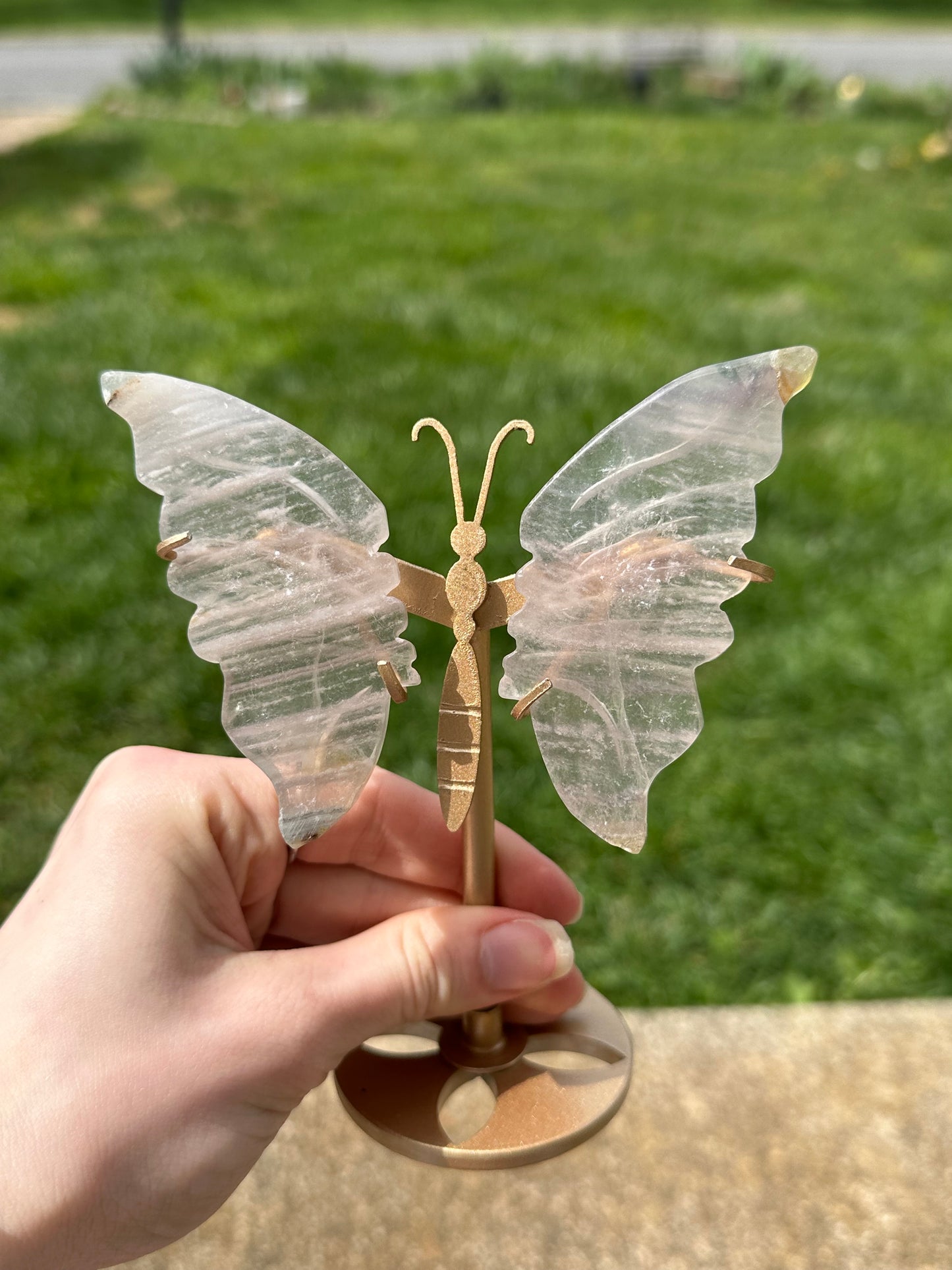 Fluorite Butterfly w/ Stand #14