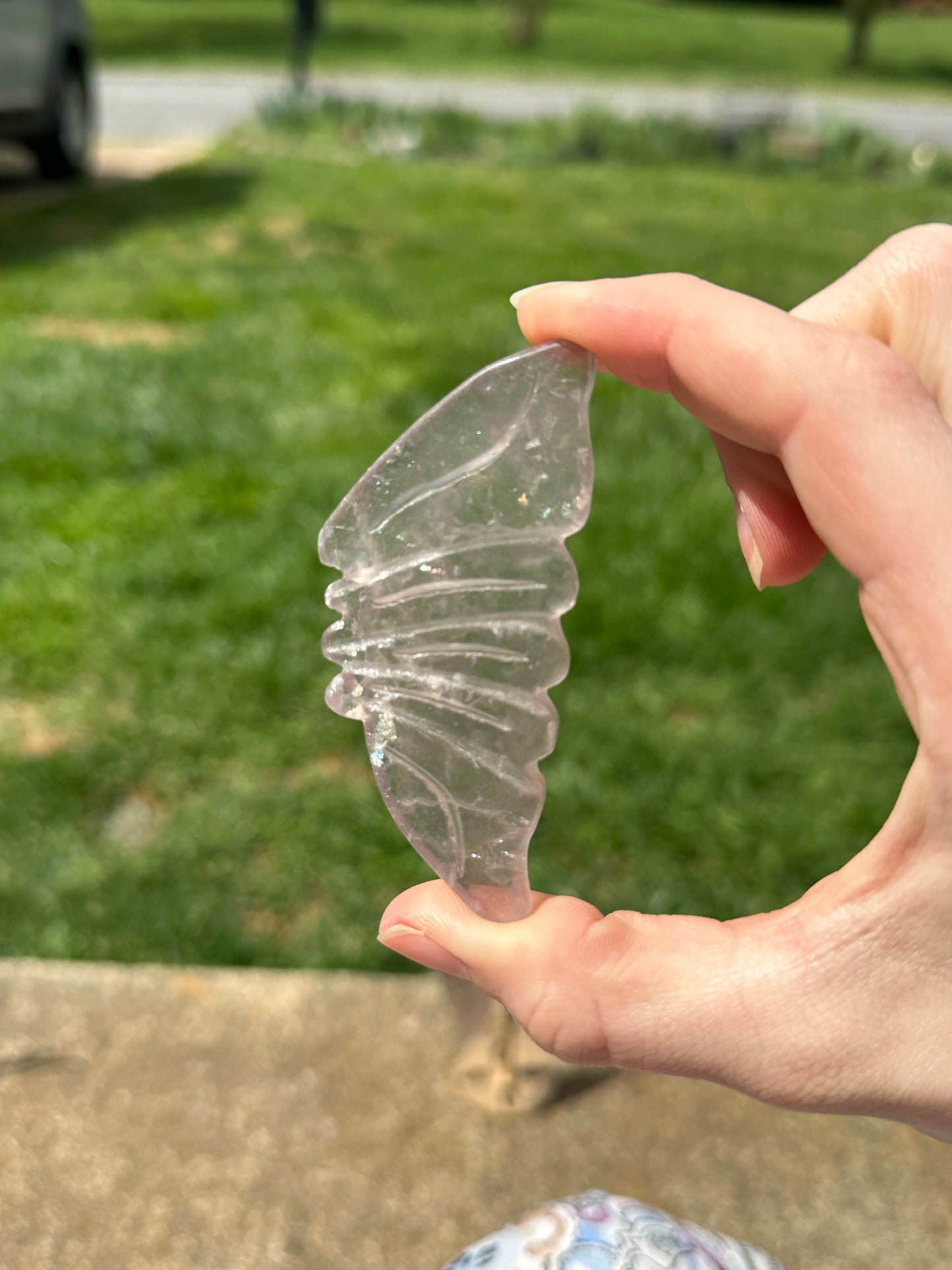 Fluorite Butterfly w/ Stand #9