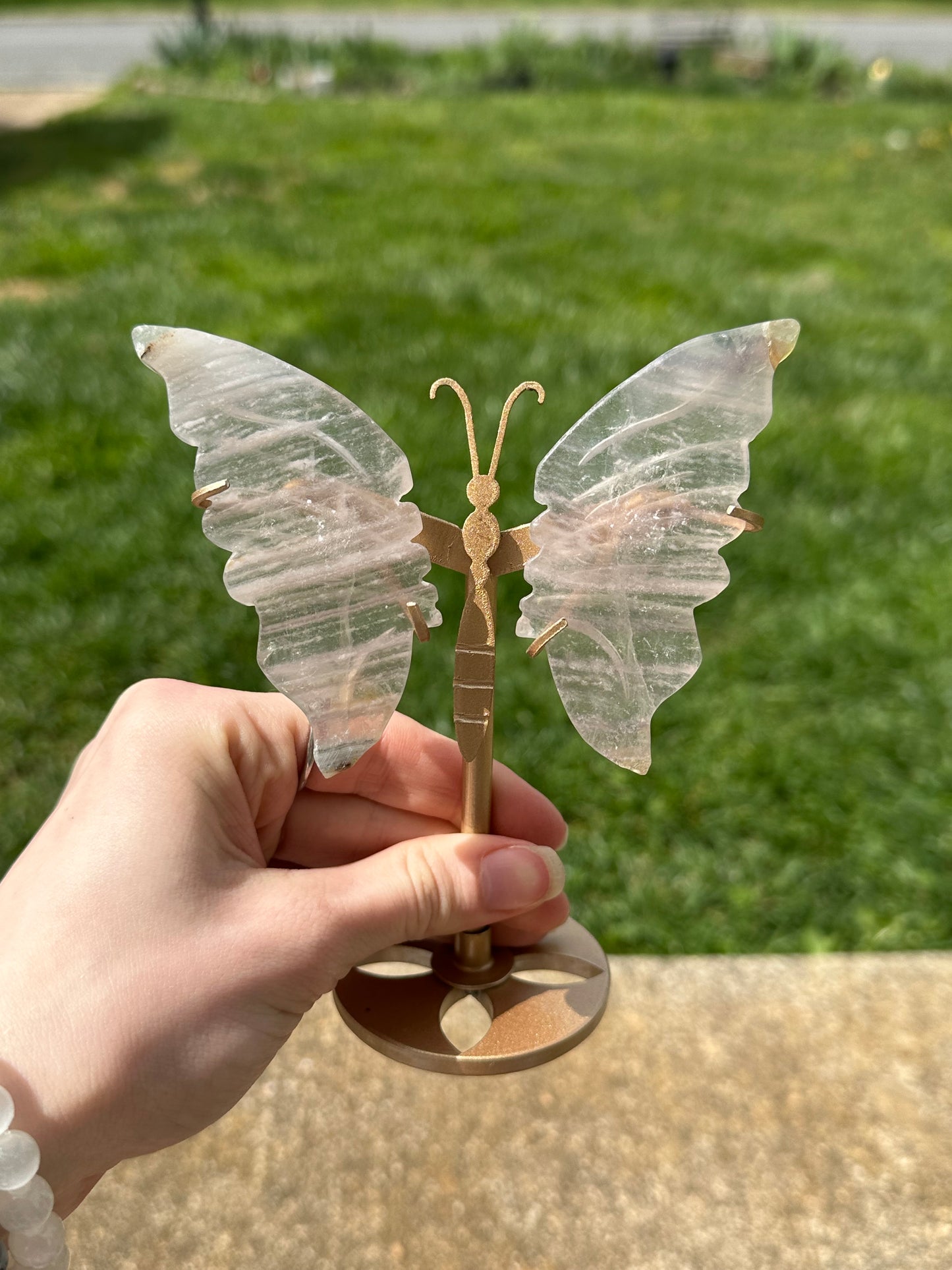 Fluorite Butterfly w/ Stand #14