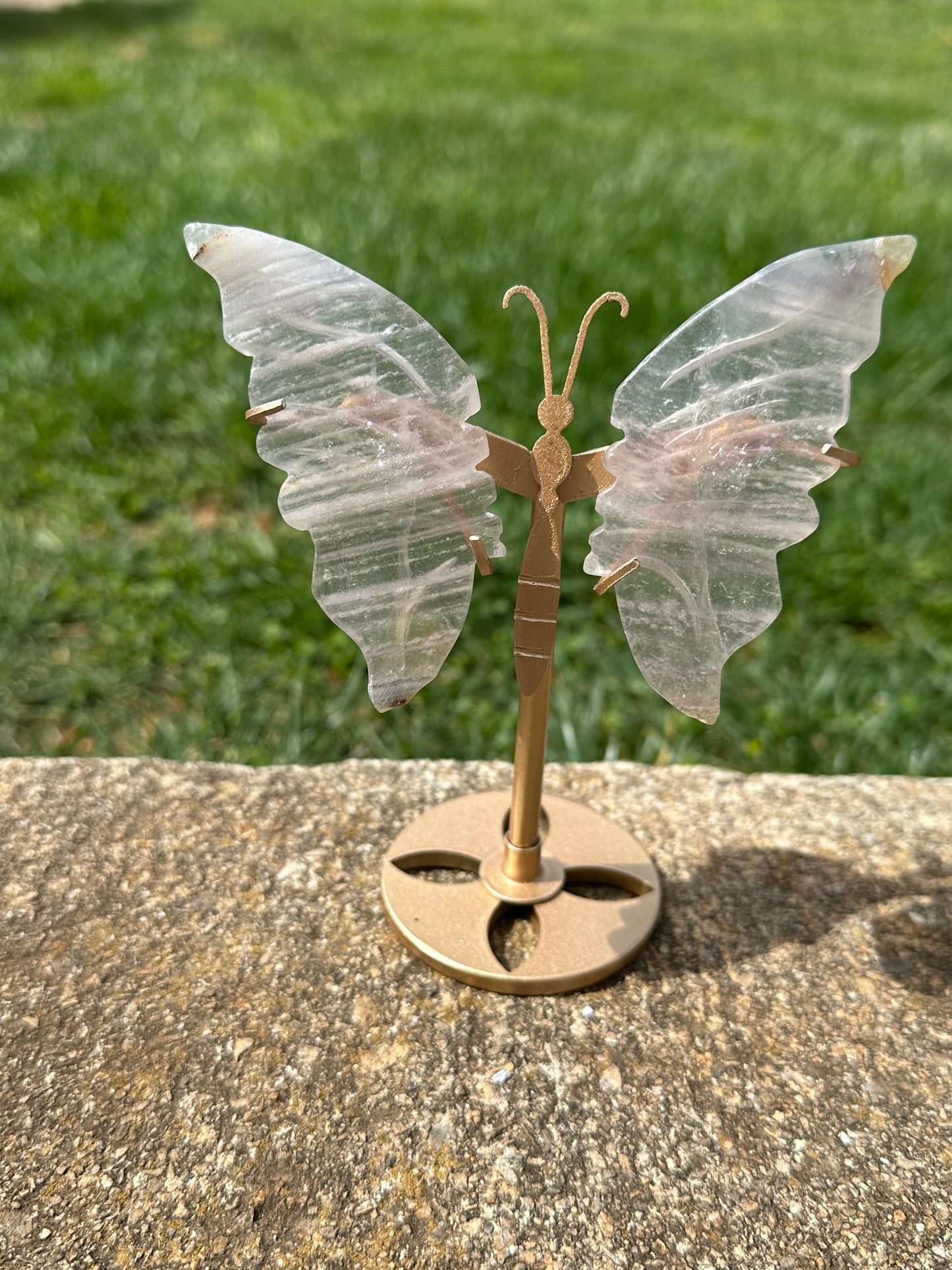 Fluorite Butterfly w/ Stand #14
