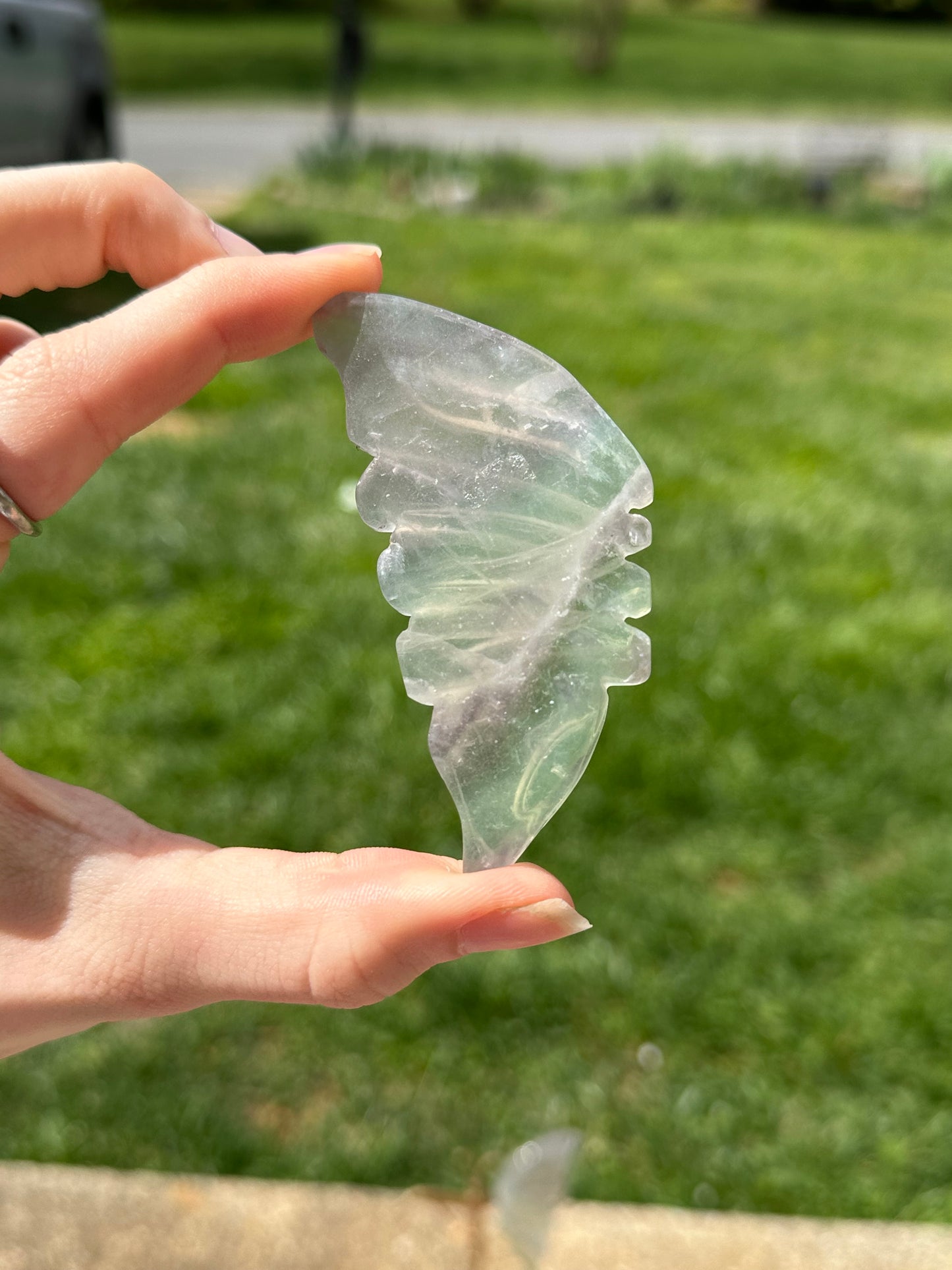 Fluorite Butterfly w/ Stand #16
