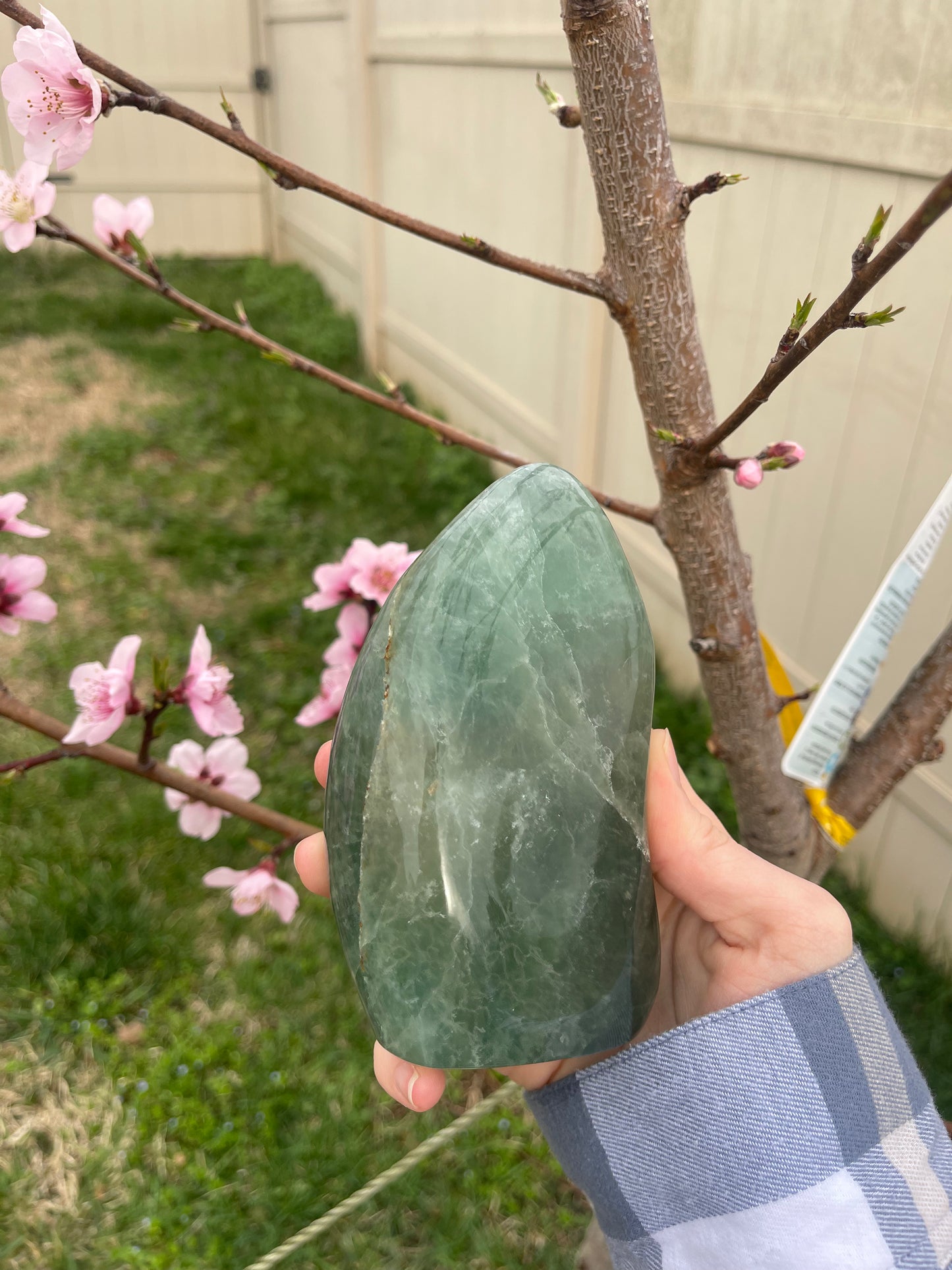 Fluorite Freeform #2