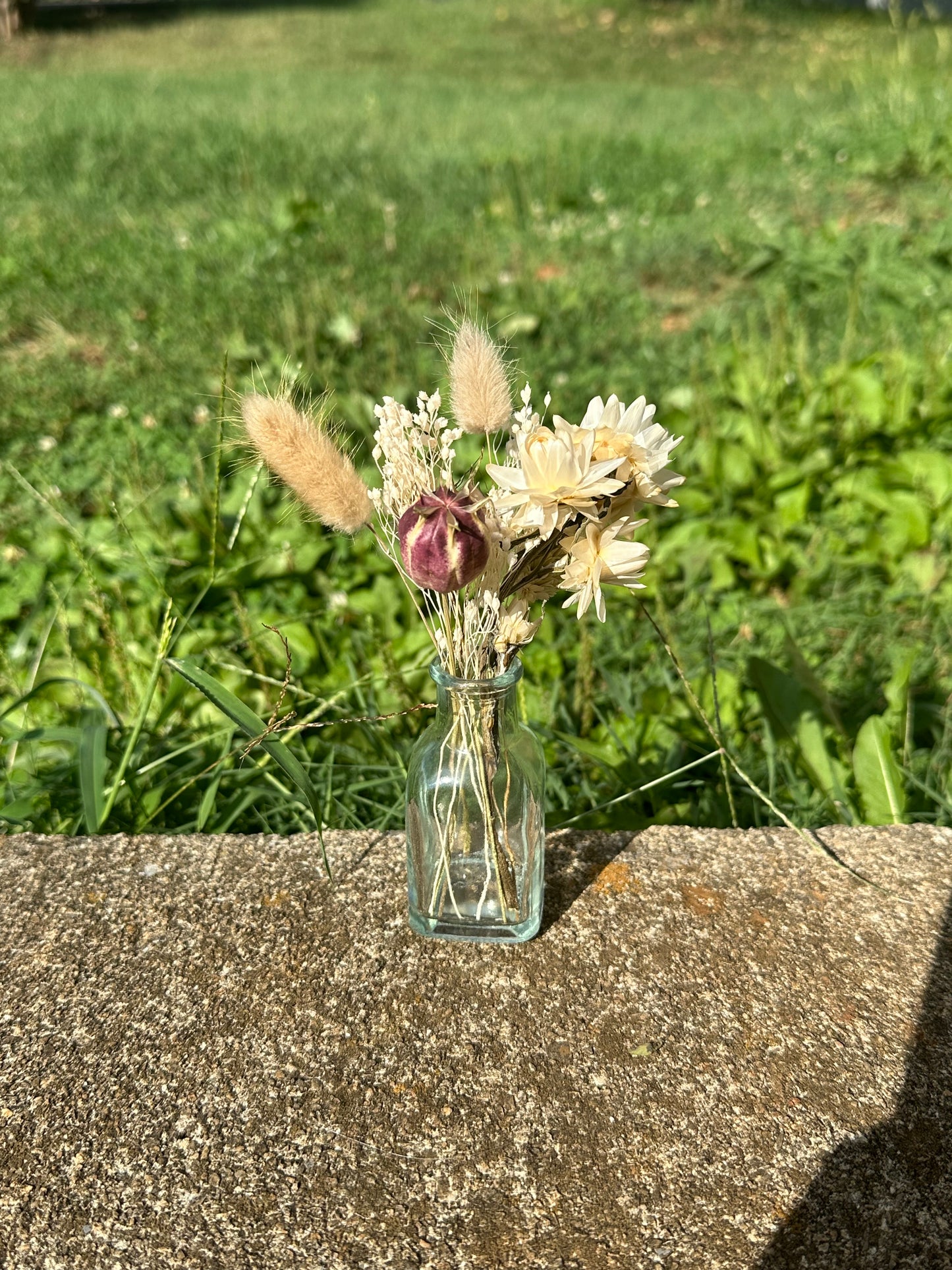 Neutral Dried Flower Bud Vase