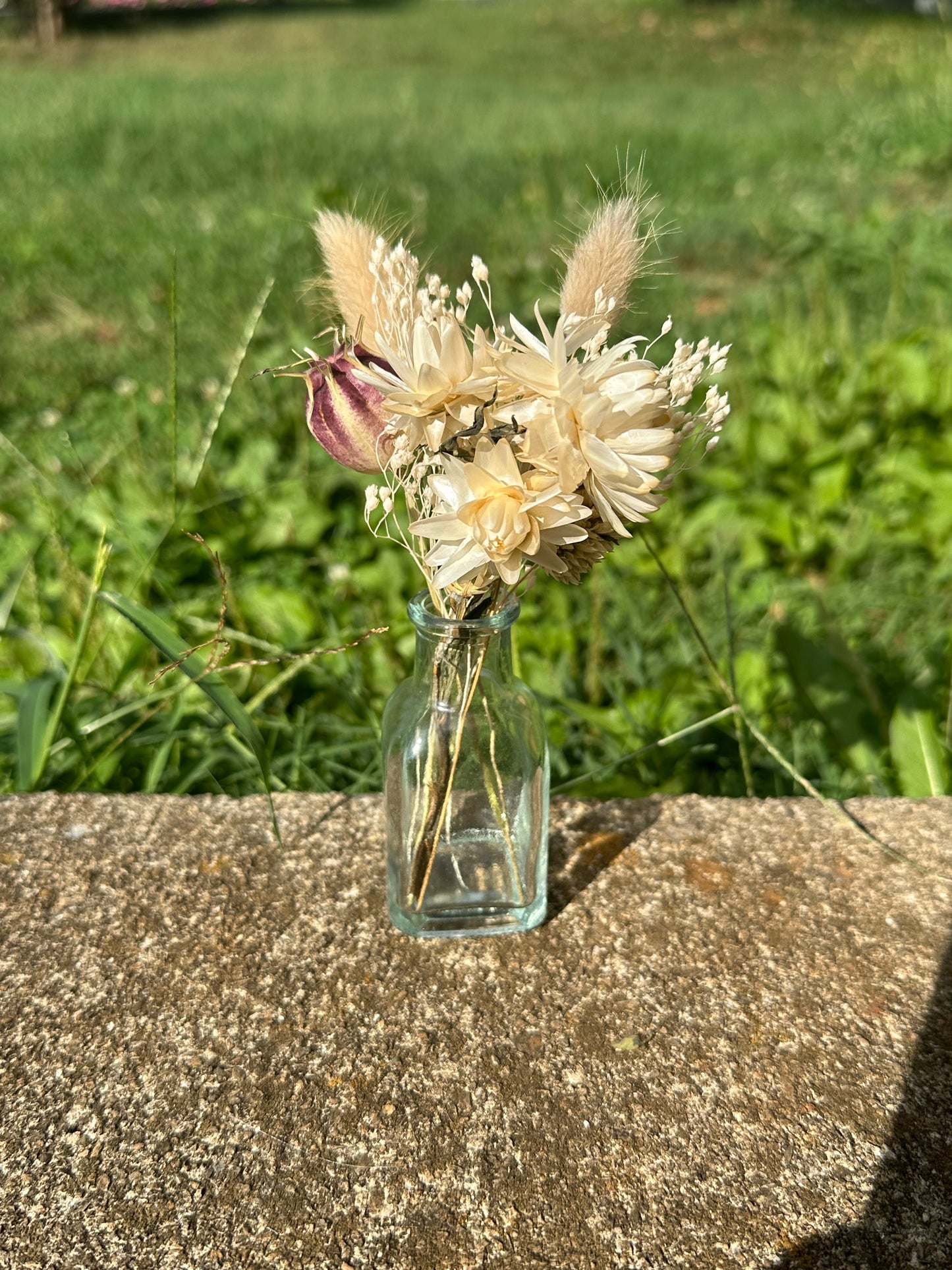 Neutral Dried Flower Bud Vase