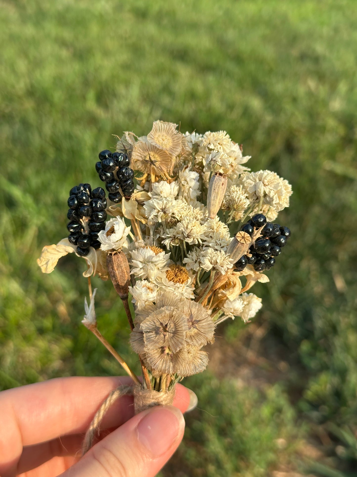 Blackberry Noir Mini Bouquet