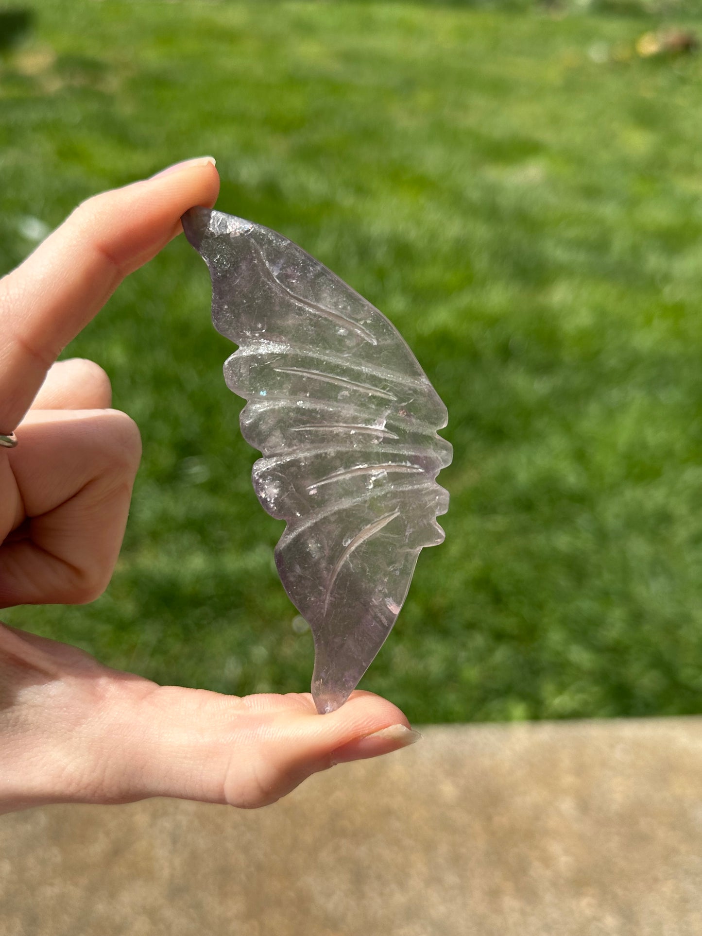 Fluorite Butterfly w/ Stand #17