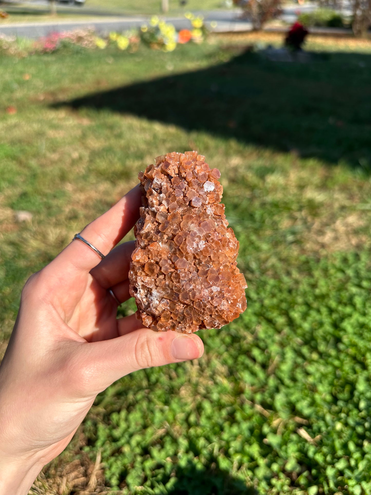 Aragonite cluster