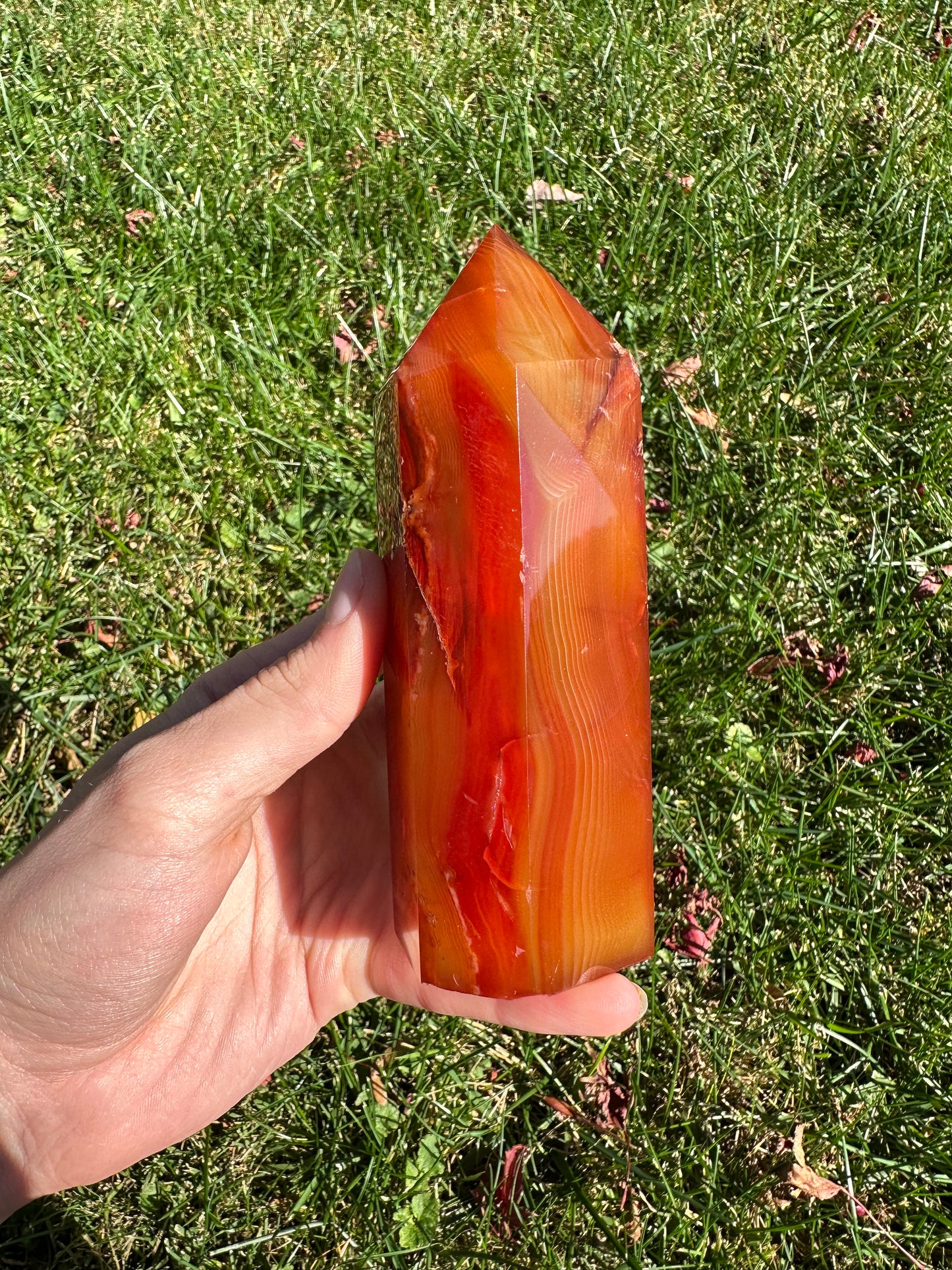 Carnelian tower #8