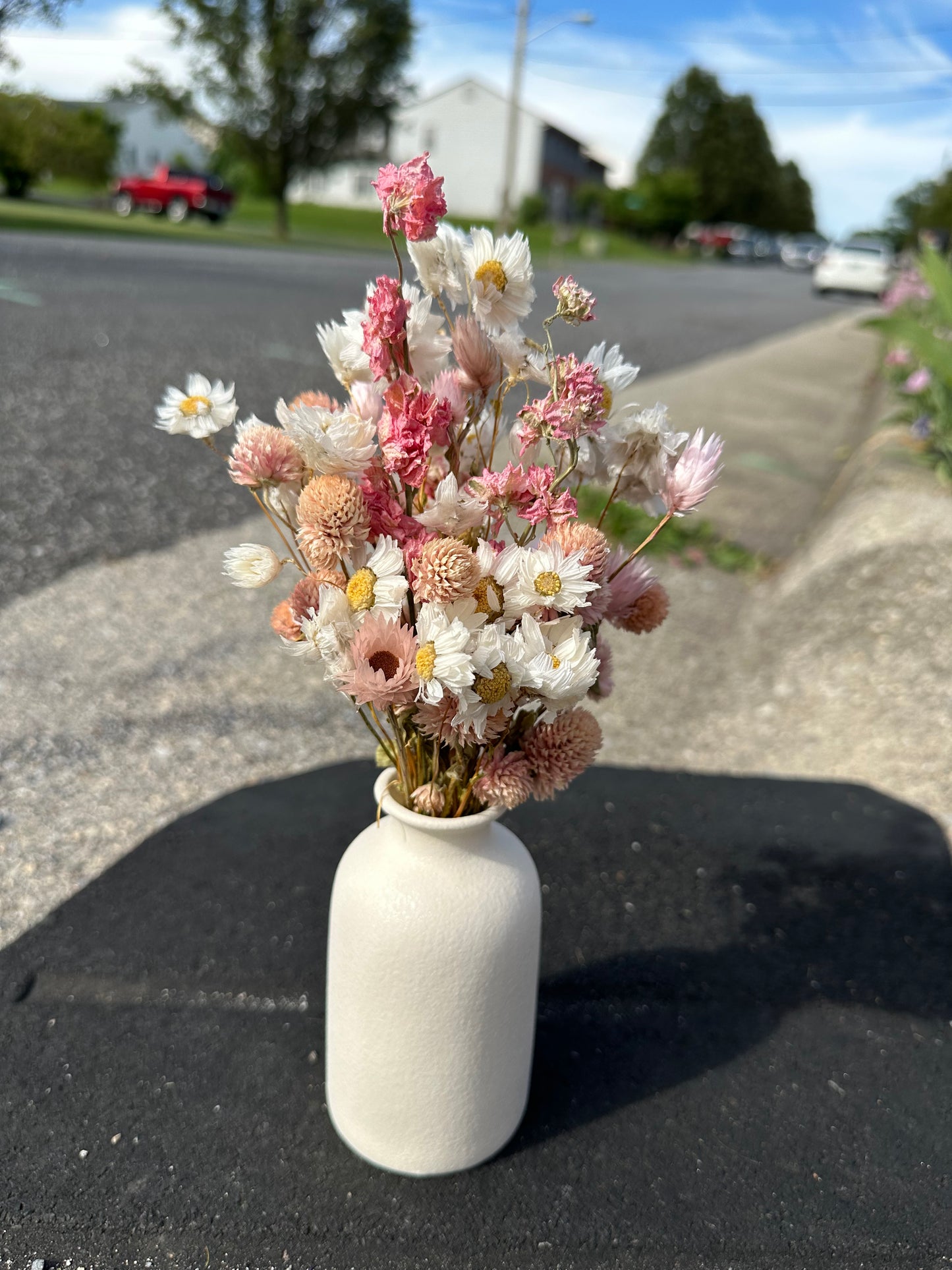 Pink & White Dried Flower Bouquet