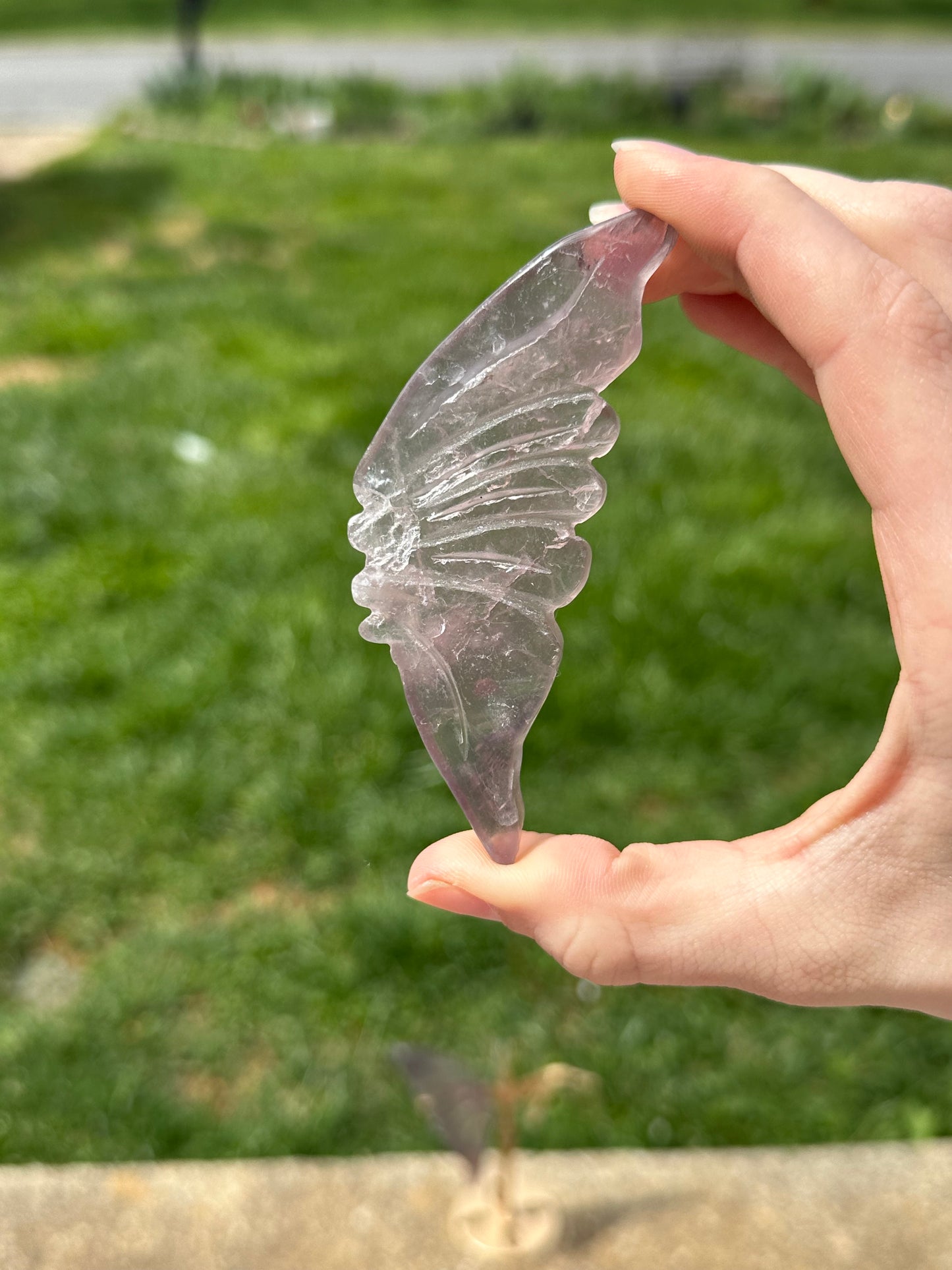 Fluorite Butterfly w/ Stand #17