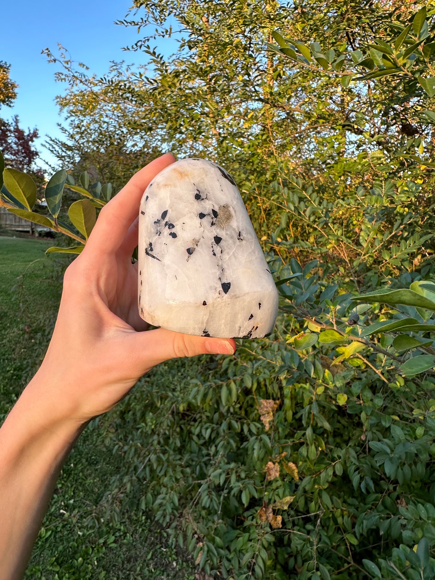 Tourmaline in Quartz freeform #2