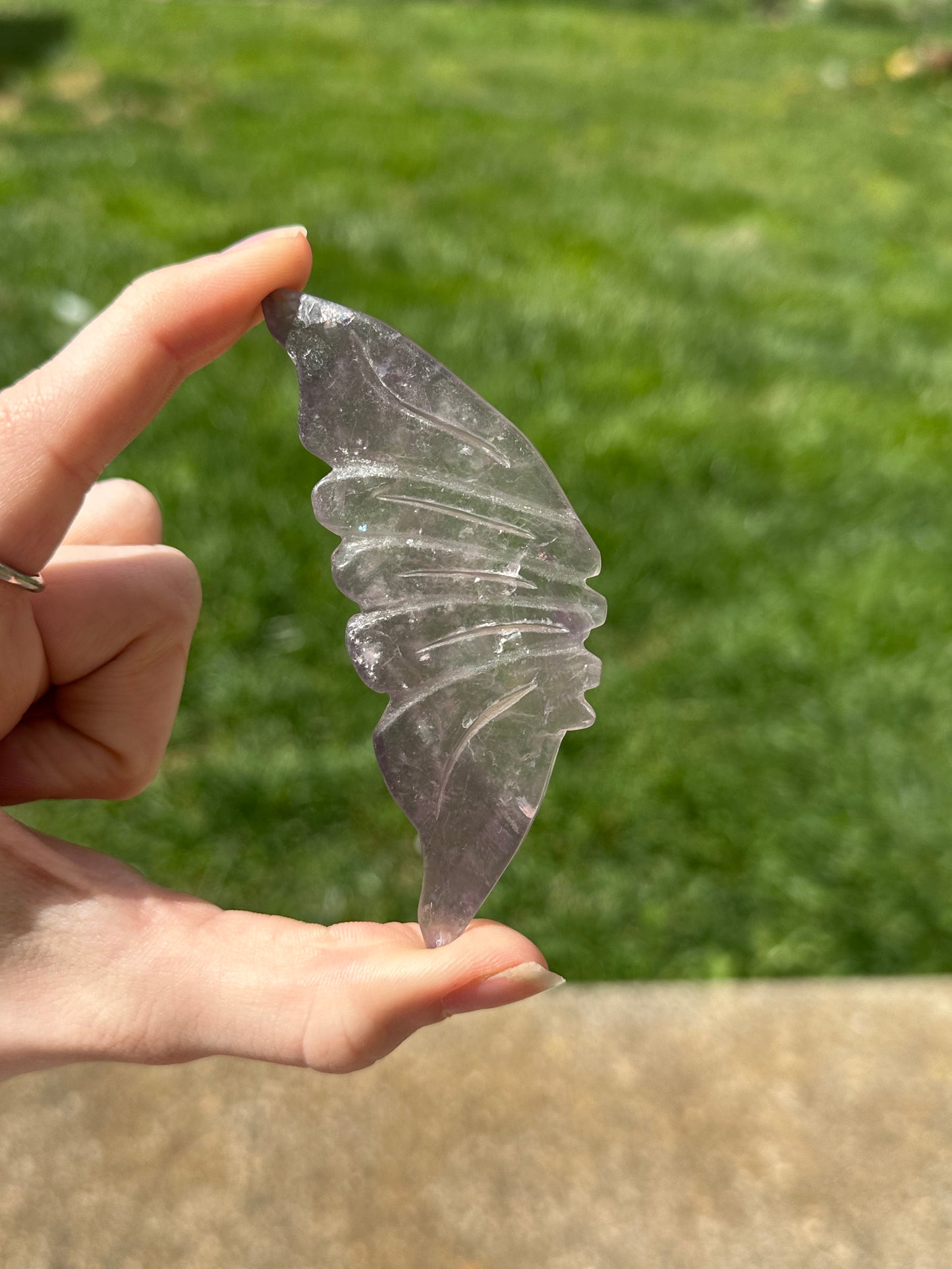 Fluorite Butterfly w/ Stand #17