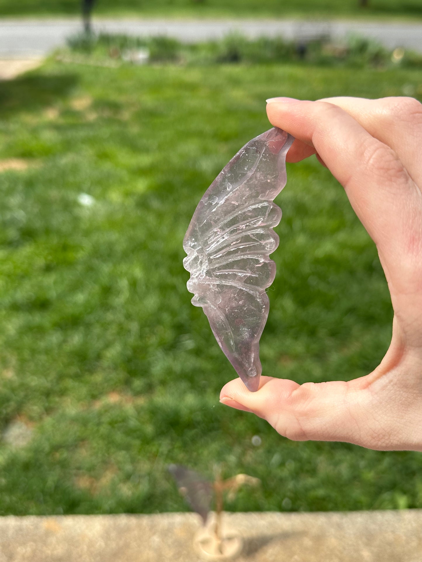 Fluorite Butterfly w/ Stand #17