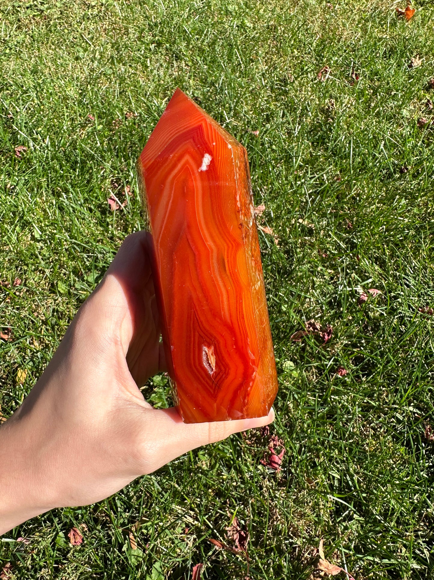 Carnelian tower #8