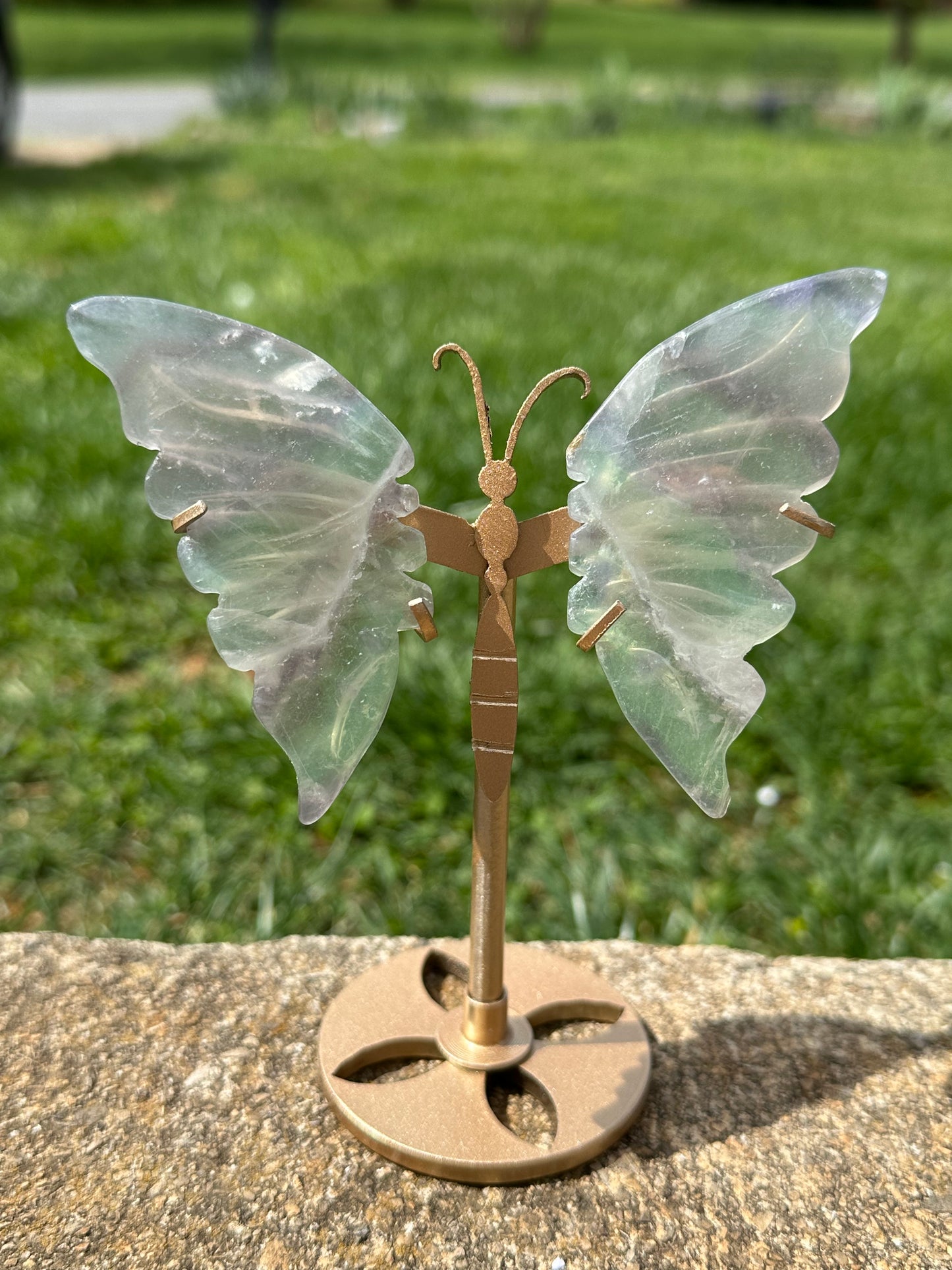 Fluorite Butterfly w/ Stand #16