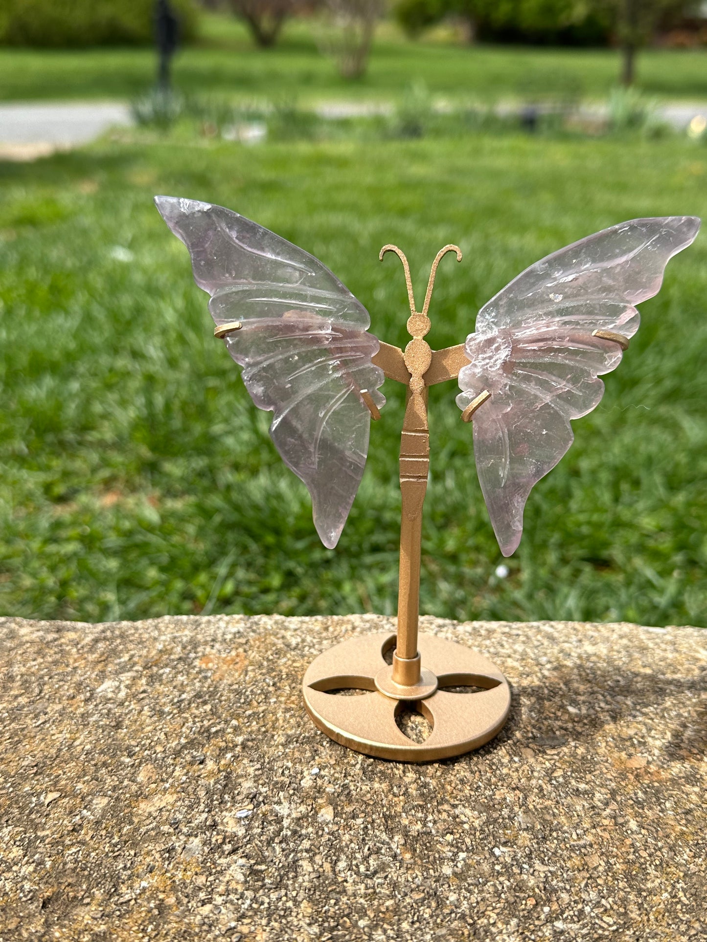 Fluorite Butterfly w/ Stand #17