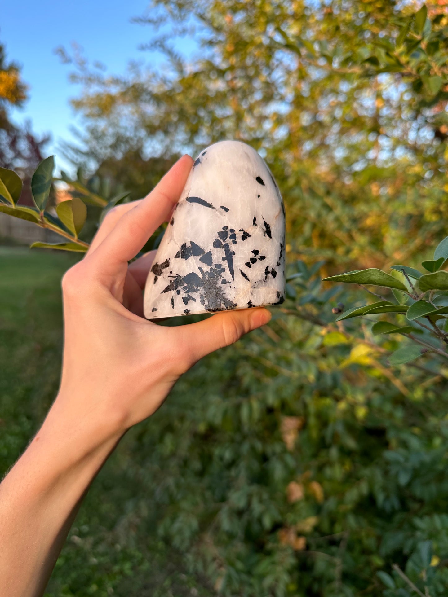 Tourmaline in Quartz freeform #2