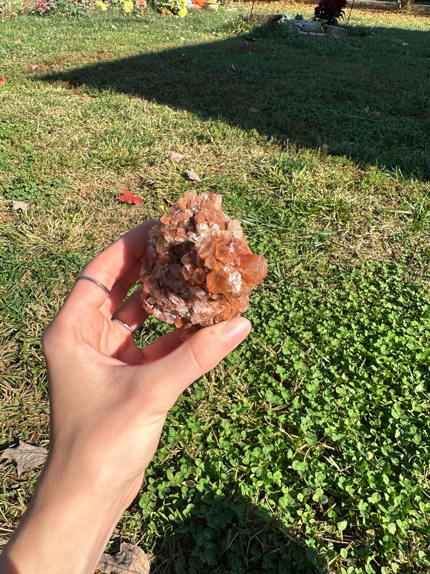 Aragonite cluster