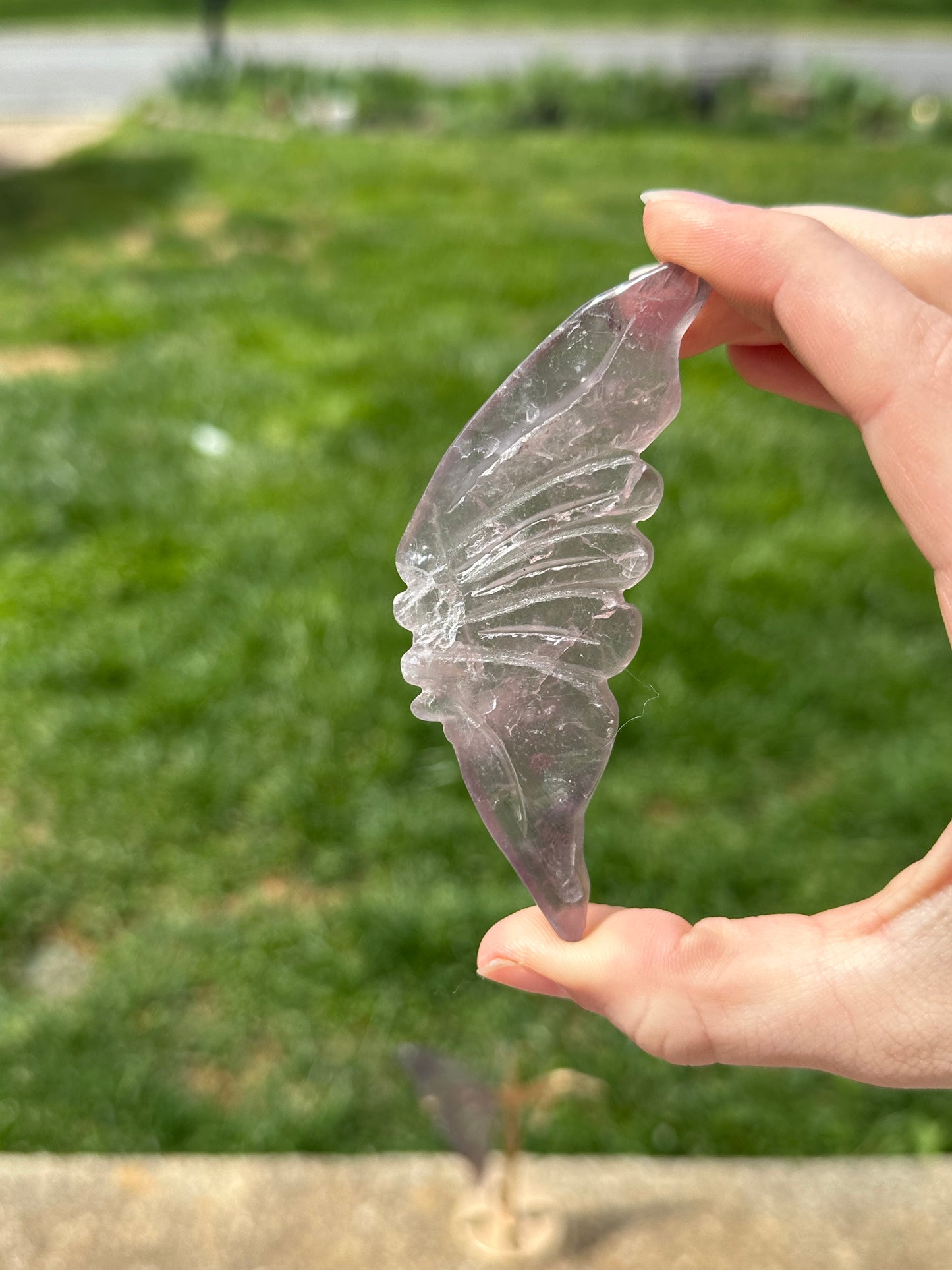 Fluorite Butterfly w/ Stand #17