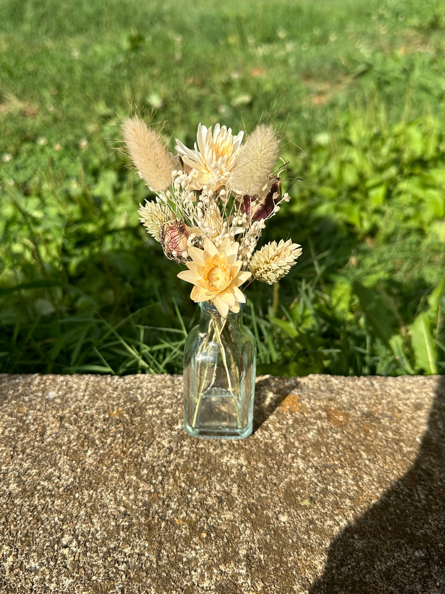 Neutral Dried Flower Bud Vase