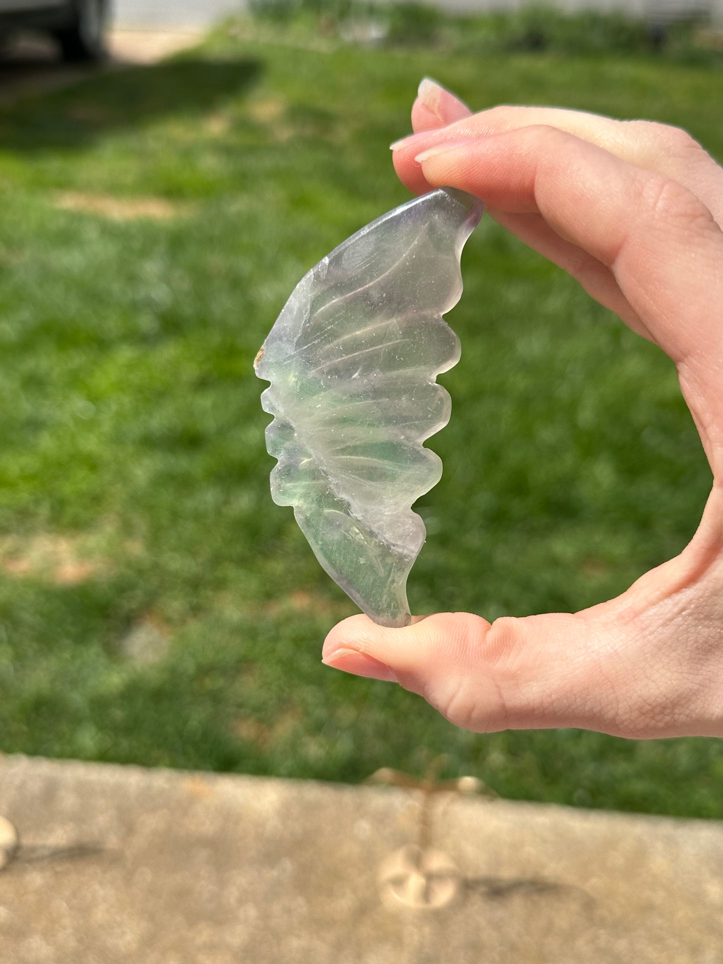 Fluorite Butterfly w/ Stand #16