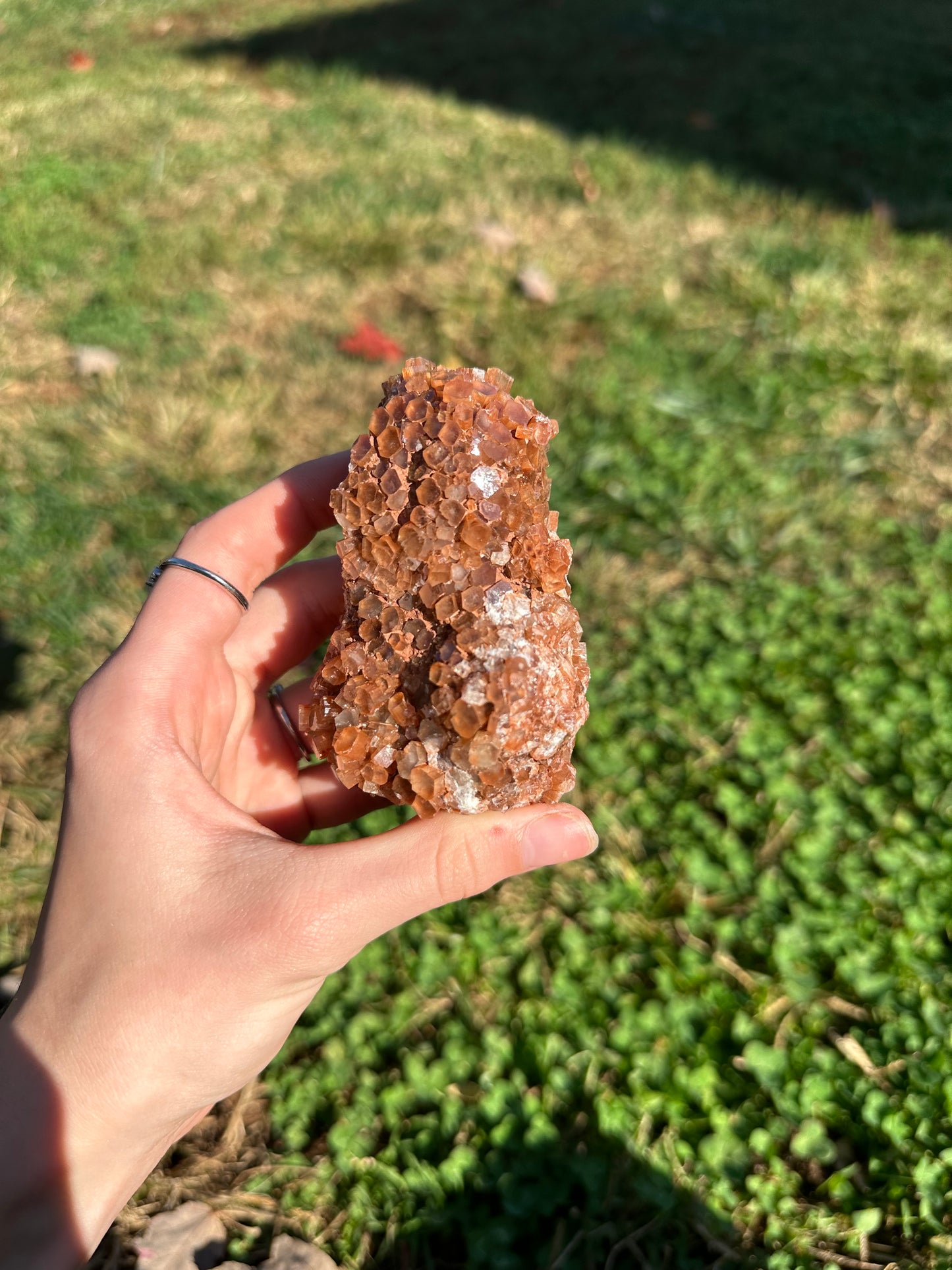 Aragonite cluster