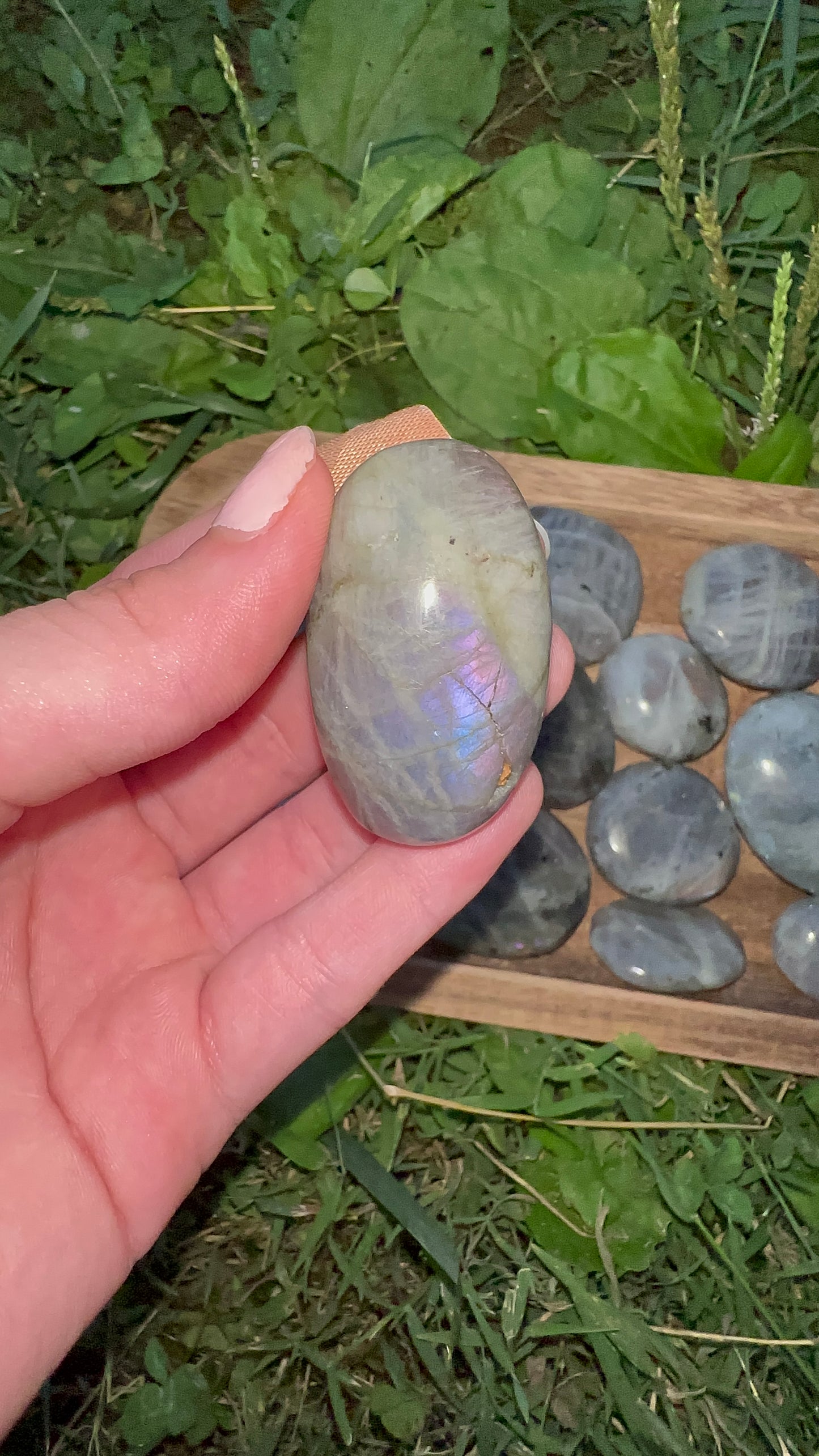 Labradorite mini palmstone