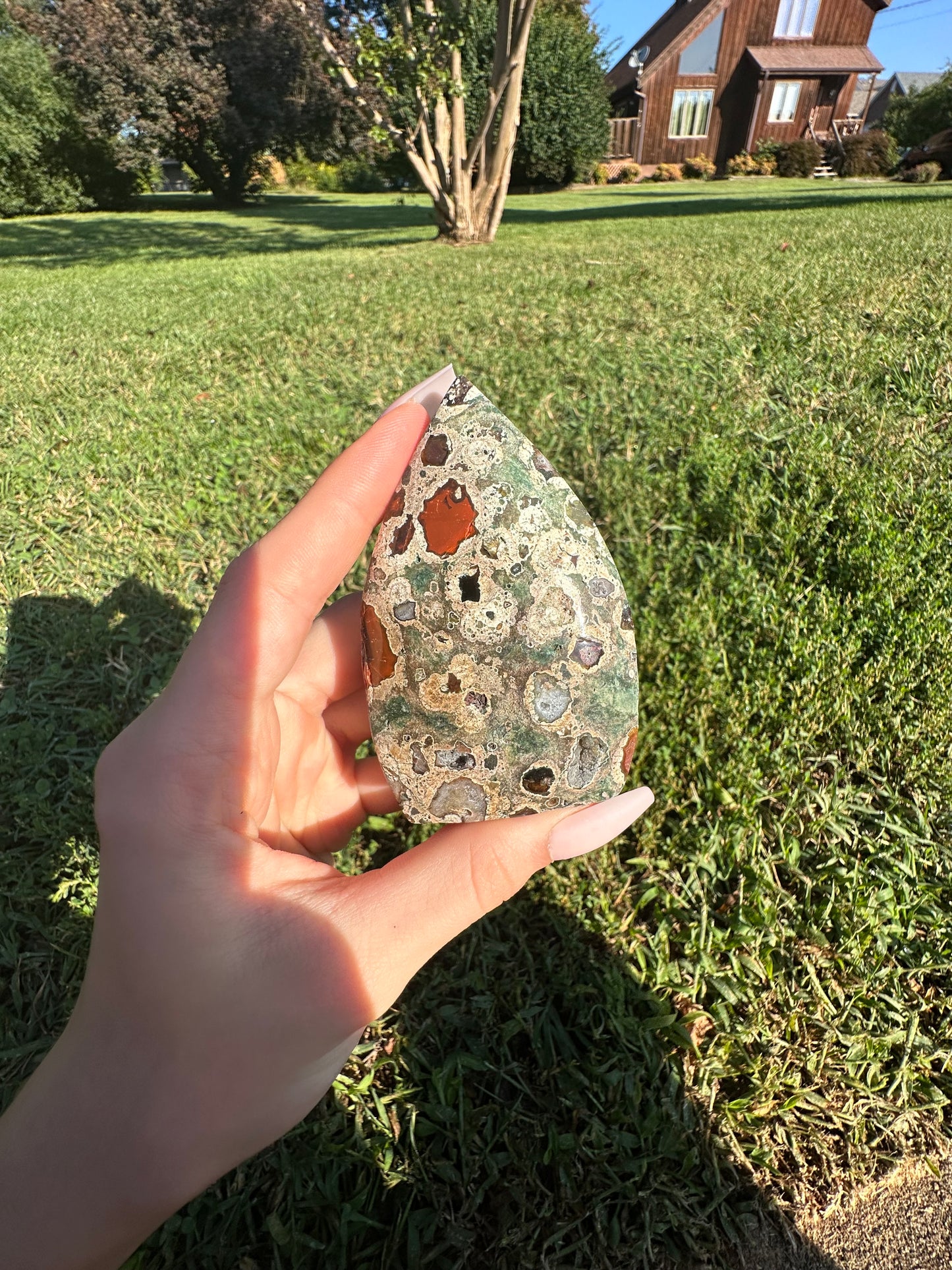 Rain Forest Jasper arrowhead #5