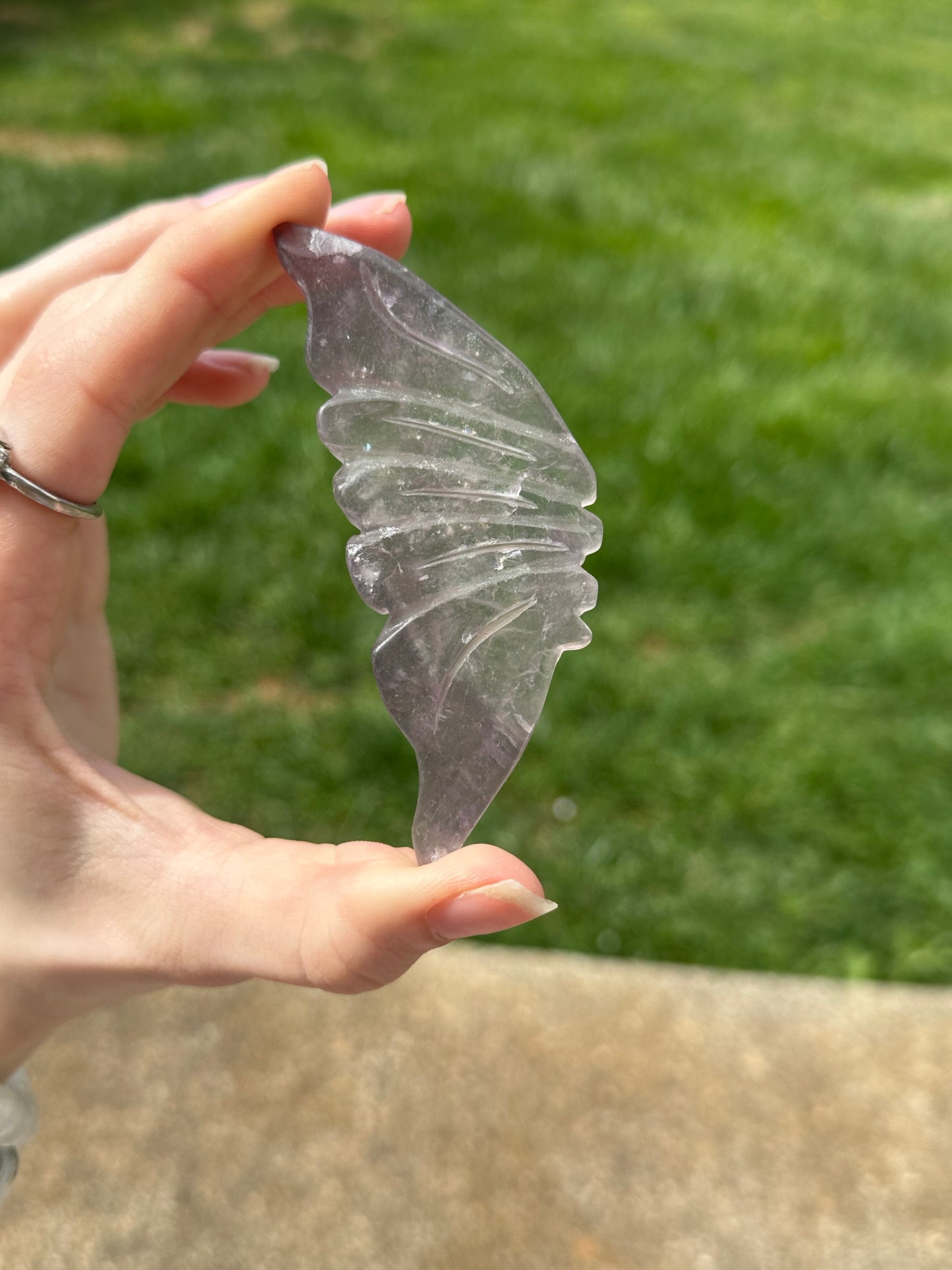 Fluorite Butterfly w/ Stand #17