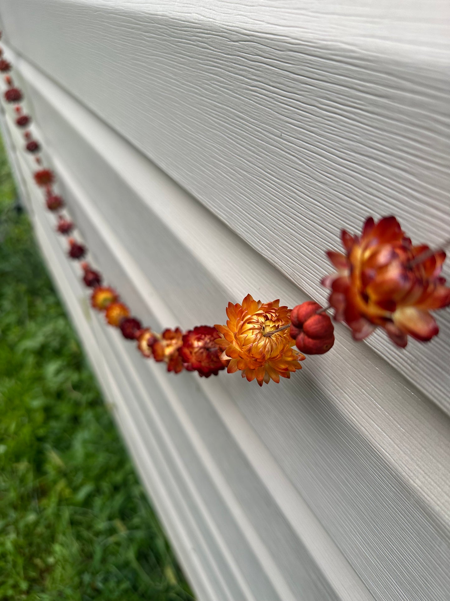 7 foot Strawflower + Putka Pod Garland