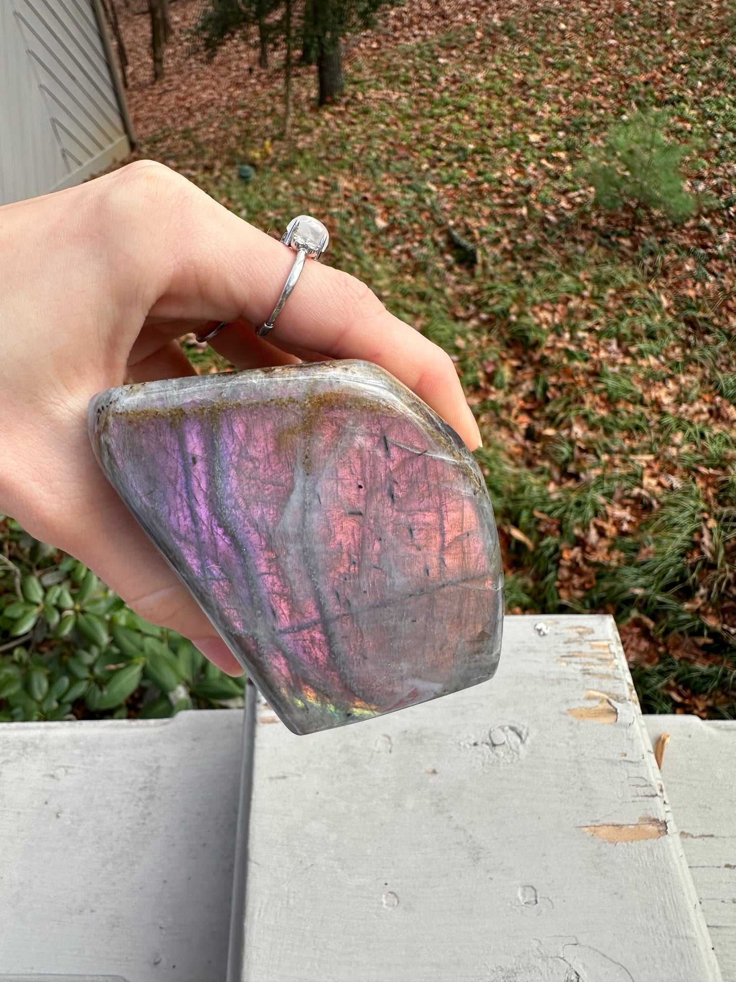 Labradorite freeform #11