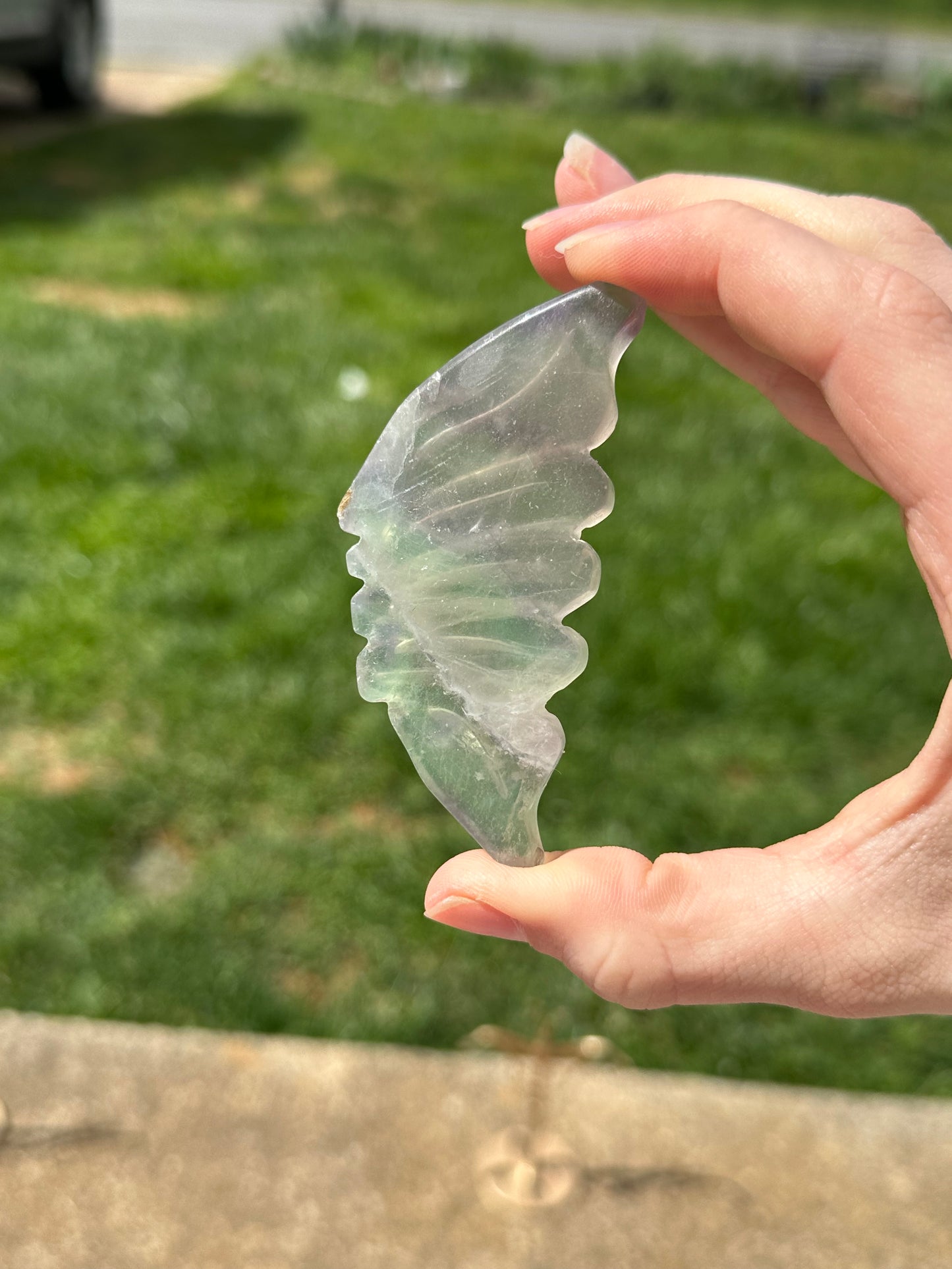 Fluorite Butterfly w/ Stand #16