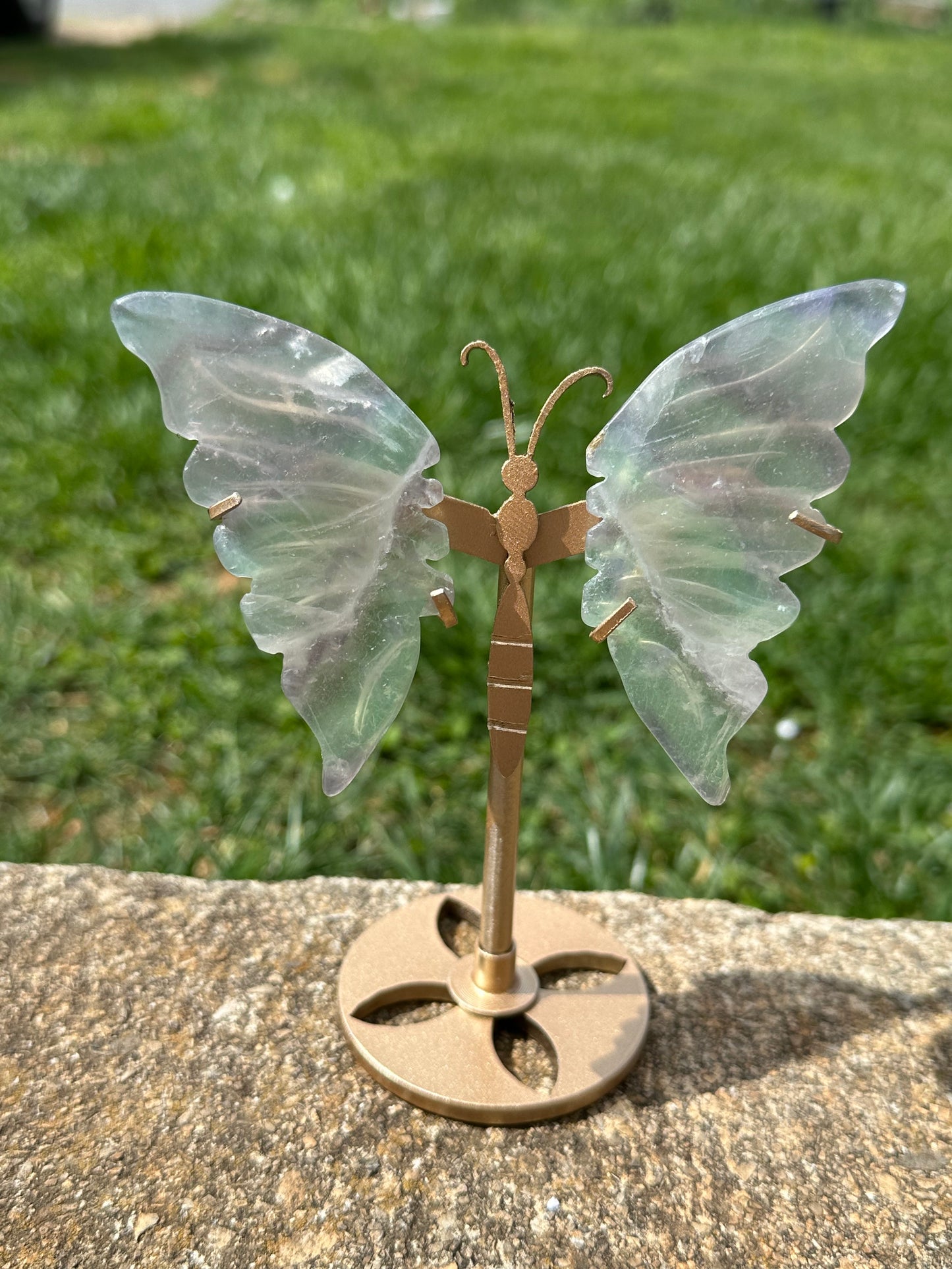 Fluorite Butterfly w/ Stand #16