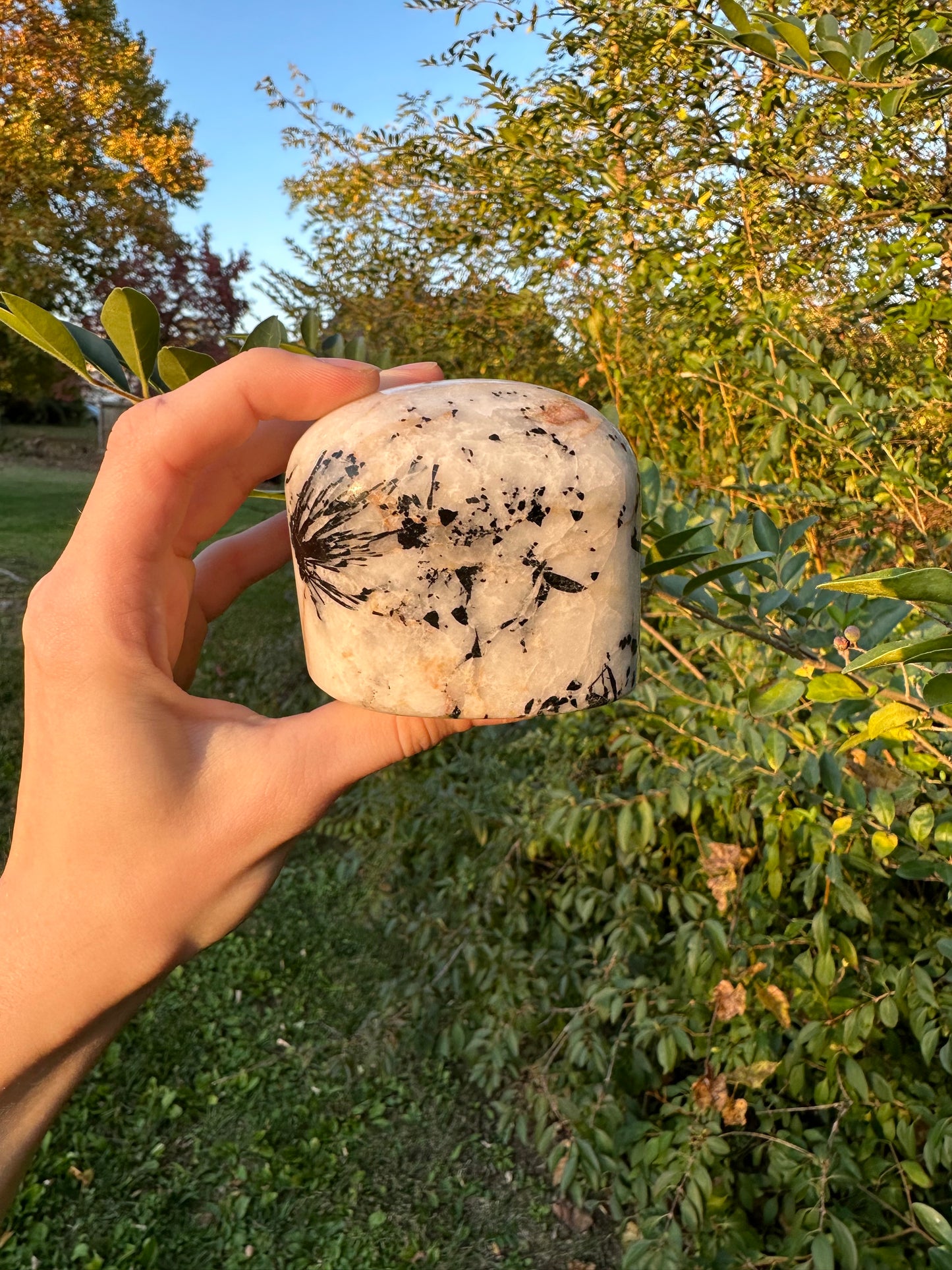 Tourmaline in Quartz freeform #1