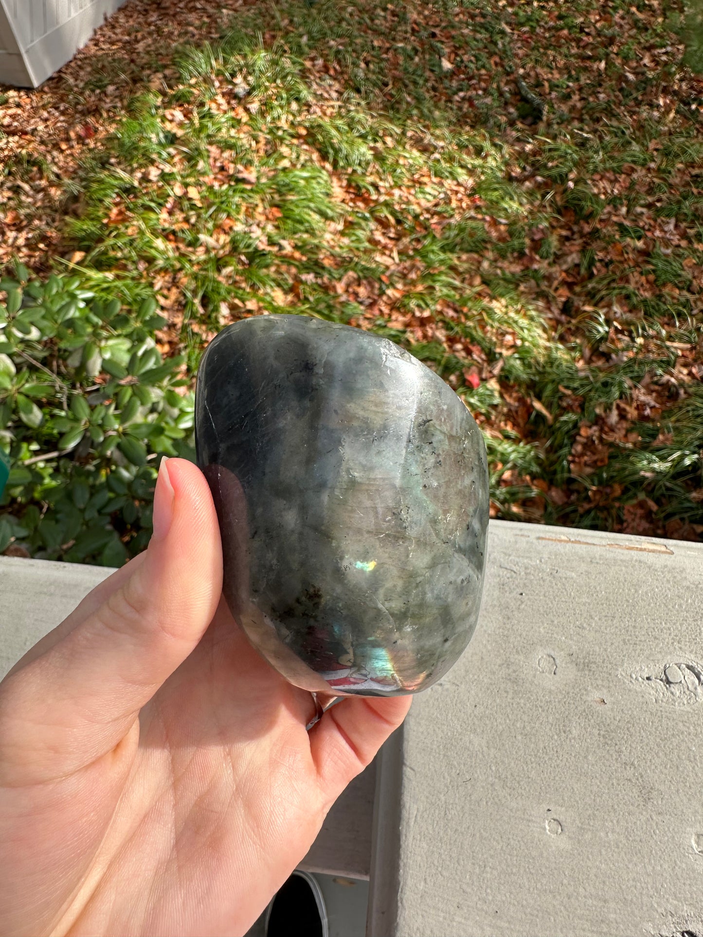 Labradorite freeform #2