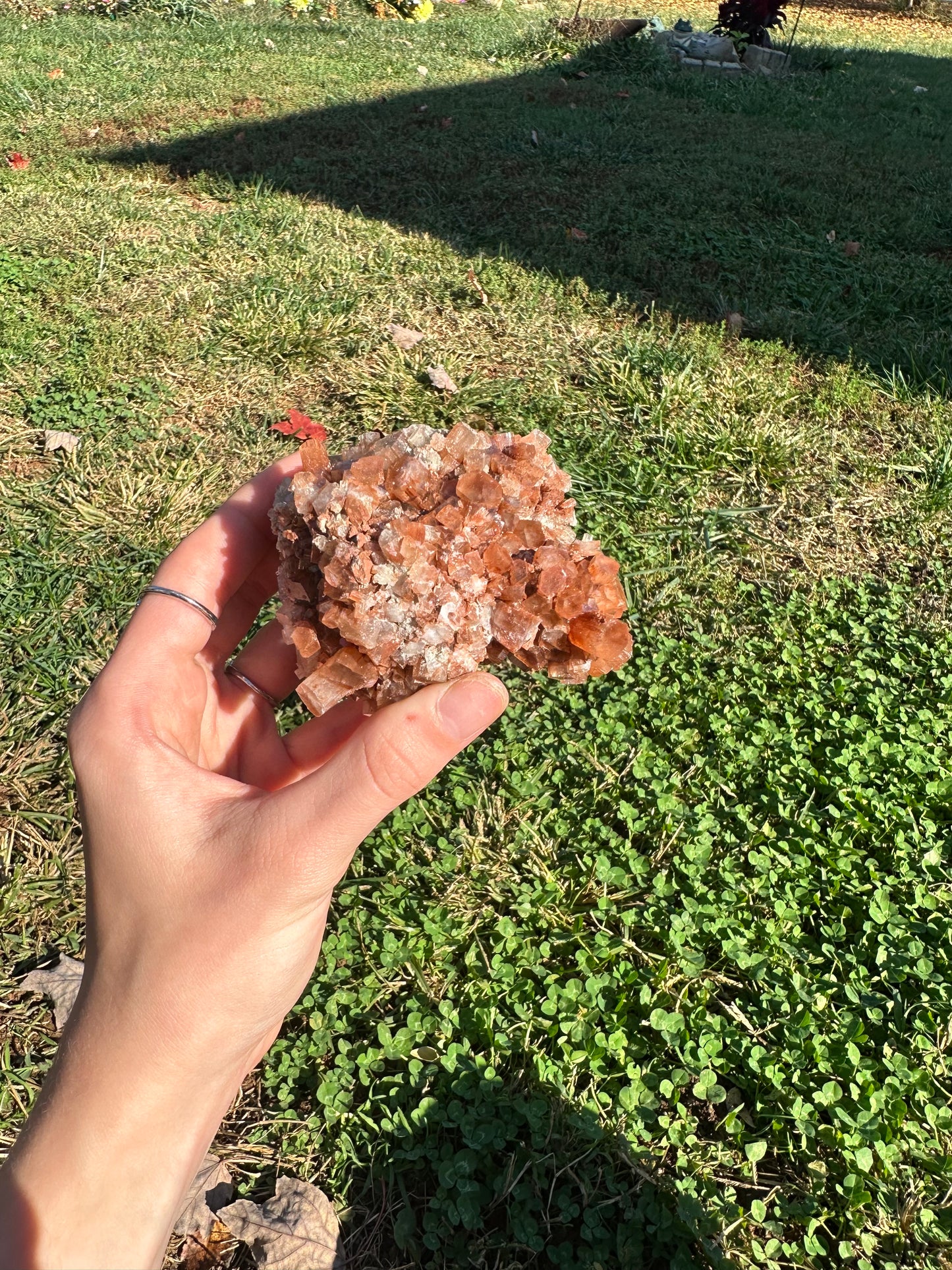 Aragonite cluster