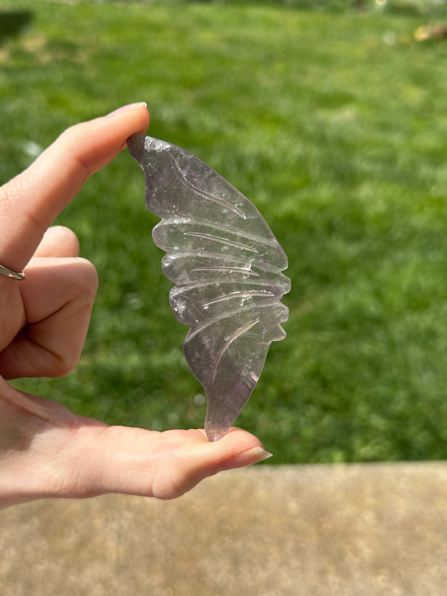 Fluorite Butterfly w/ Stand #17