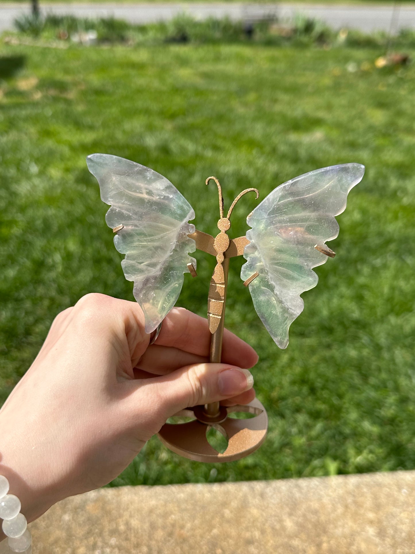 Fluorite Butterfly w/ Stand #16