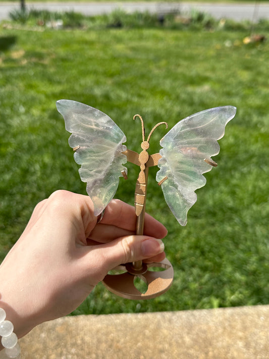 Fluorite Butterfly w/ Stand #16