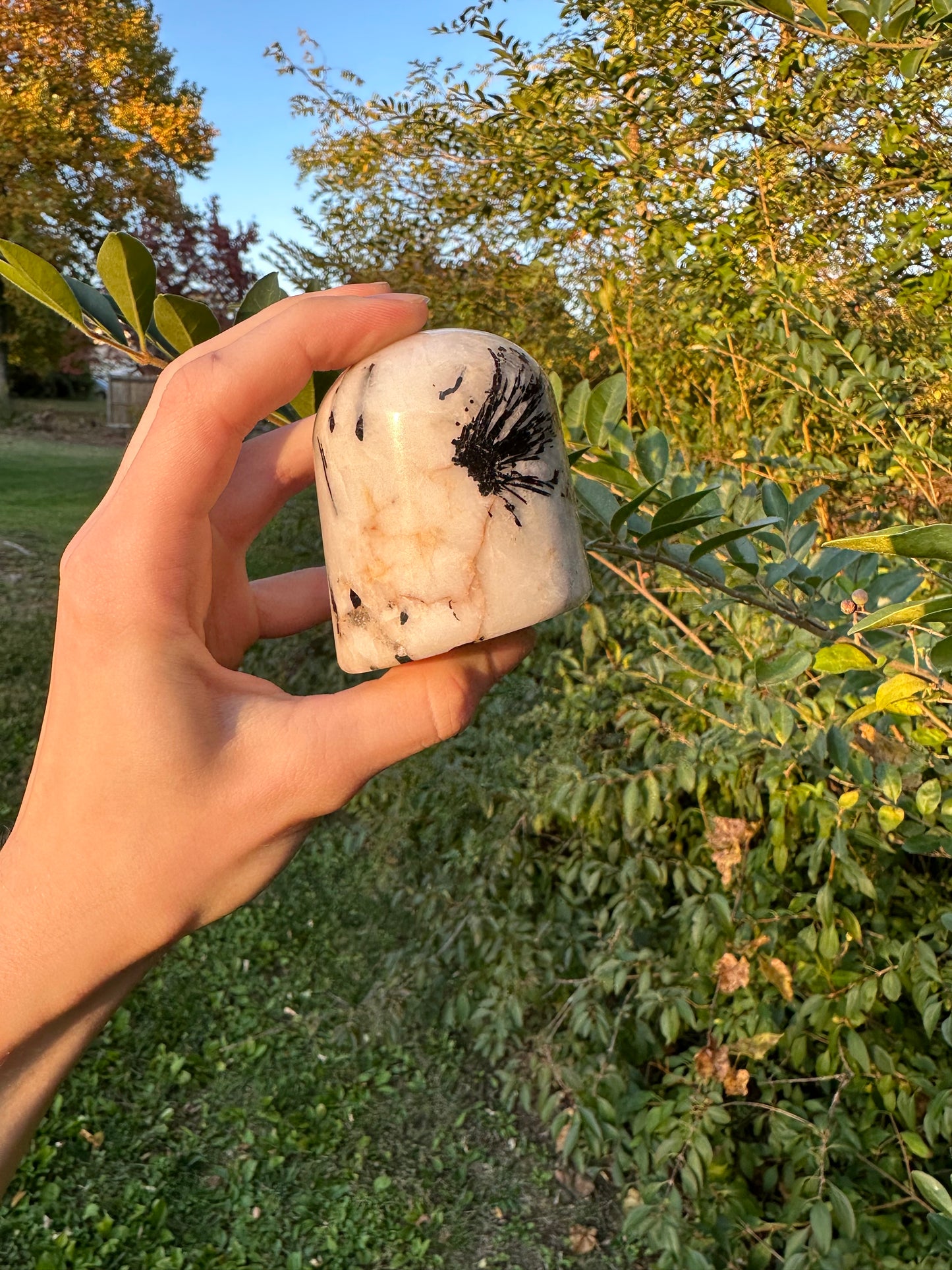 Tourmaline in Quartz freeform #1