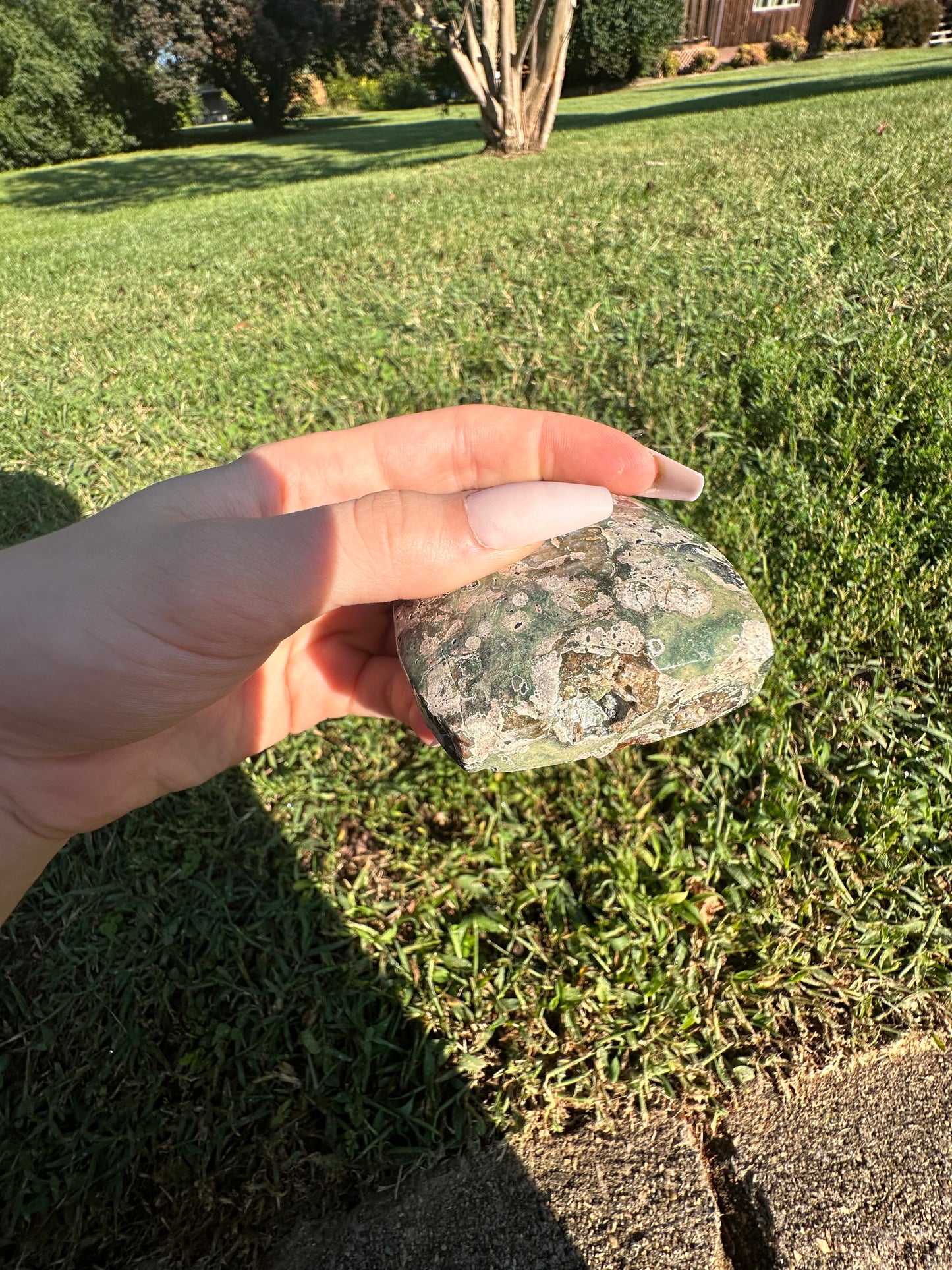 Rain Forest Jasper arrowhead #1