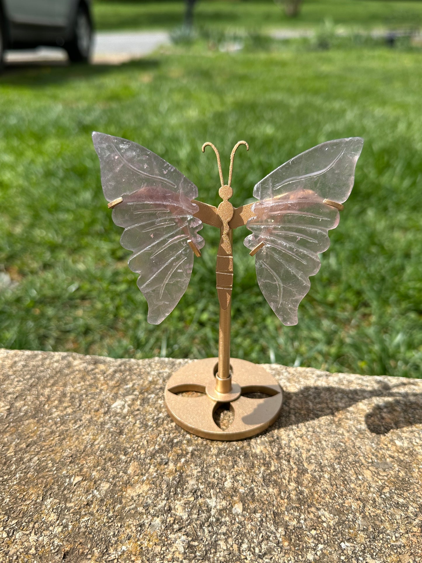 Fluorite Butterfly w/ Stand #9