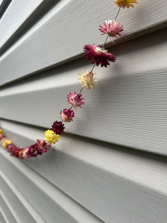 Dried Strawflower Garland- by the foot
