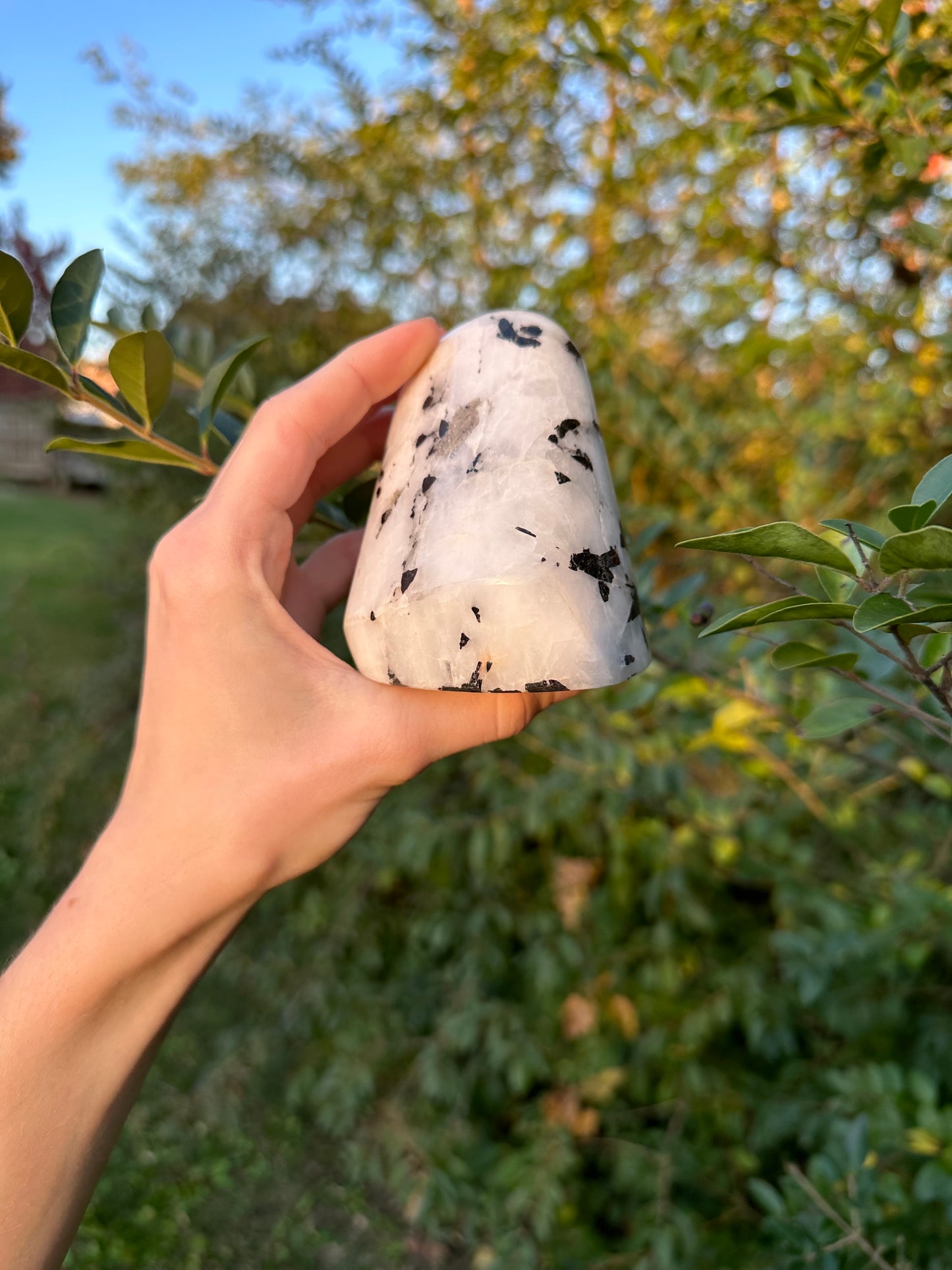 Tourmaline in Quartz freeform #2