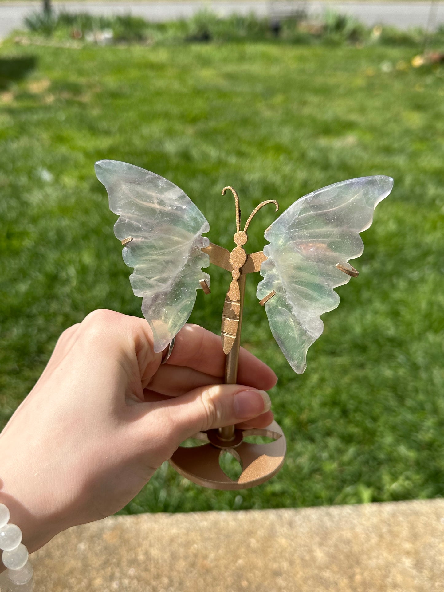 Fluorite Butterfly w/ Stand #16