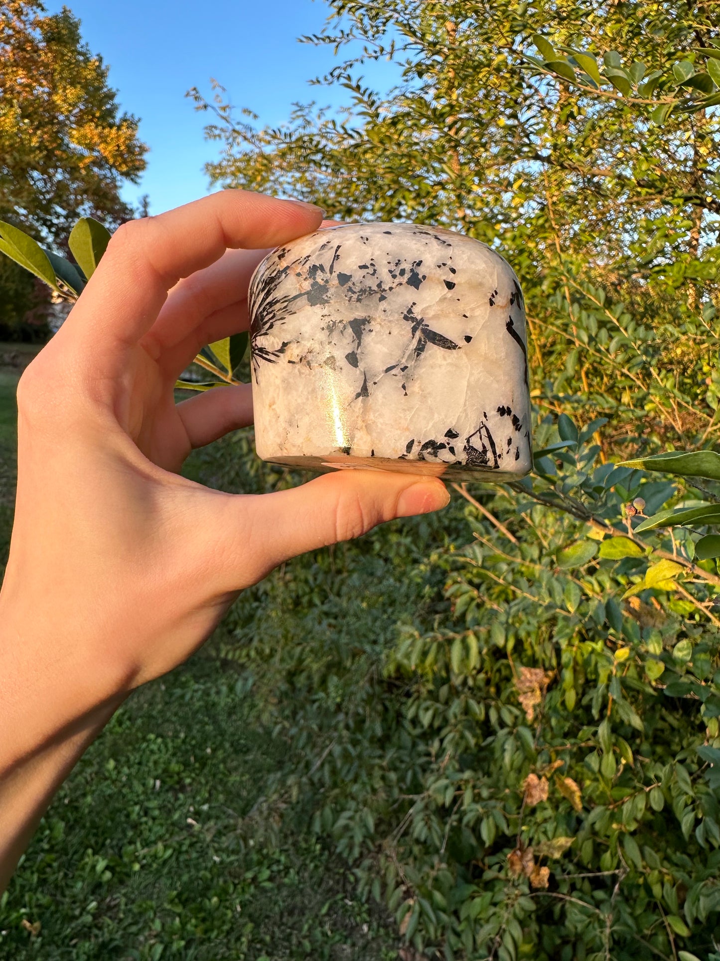 Tourmaline in Quartz freeform #1