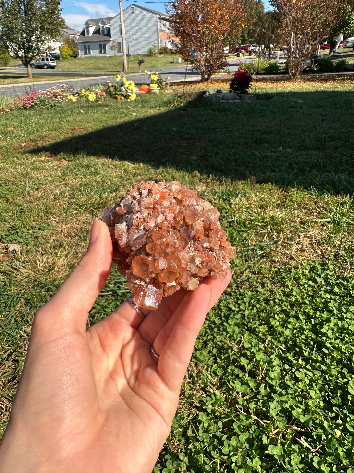 Aragonite cluster