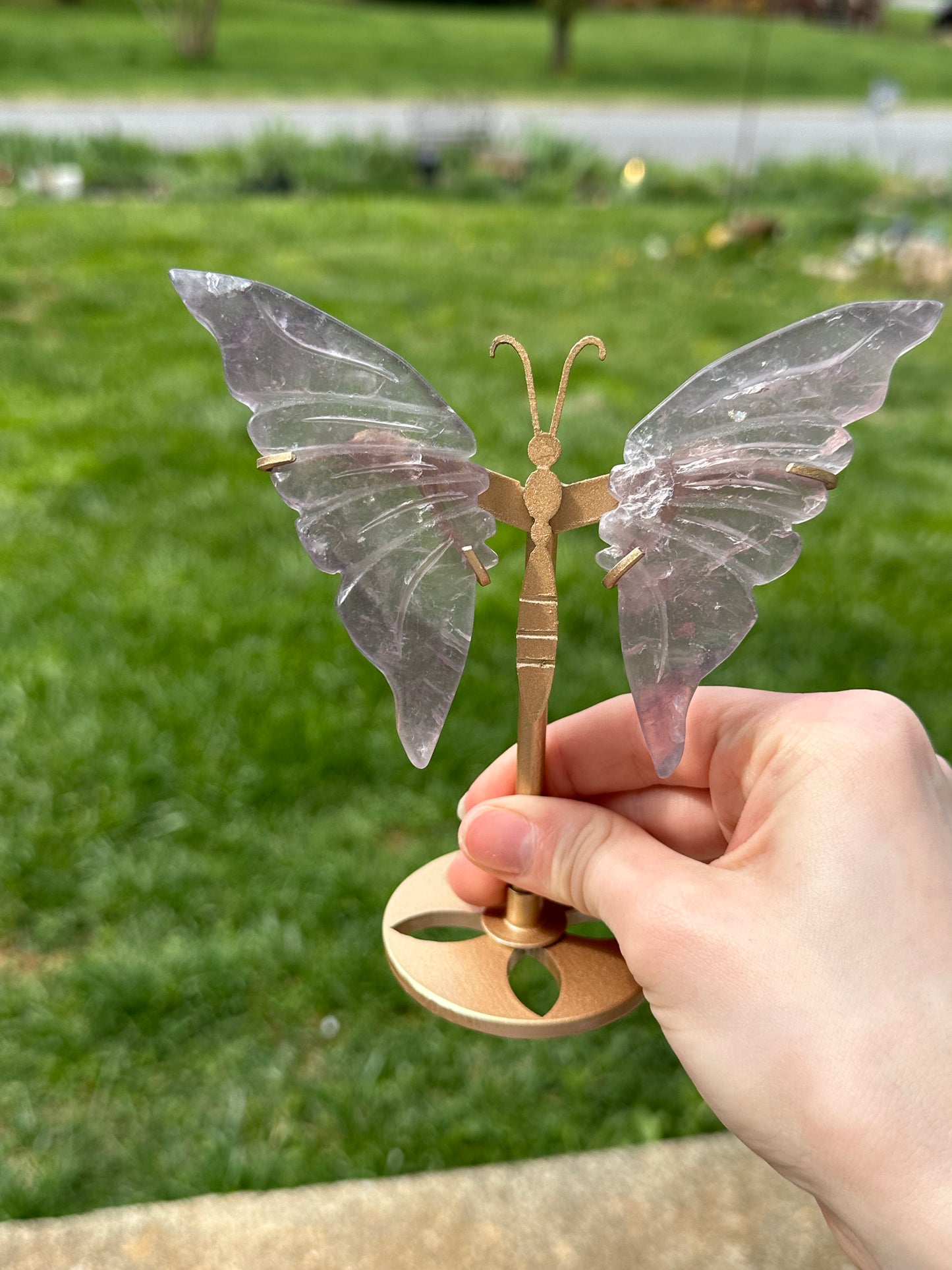 Fluorite Butterfly w/ Stand #17