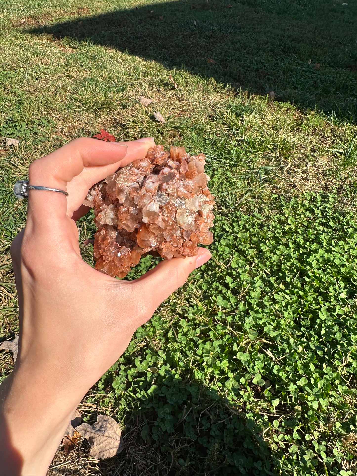 Aragonite cluster